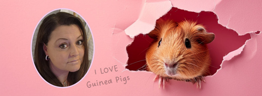 Wie aus einem Traum LuxusSchweine wurde 🐹💛