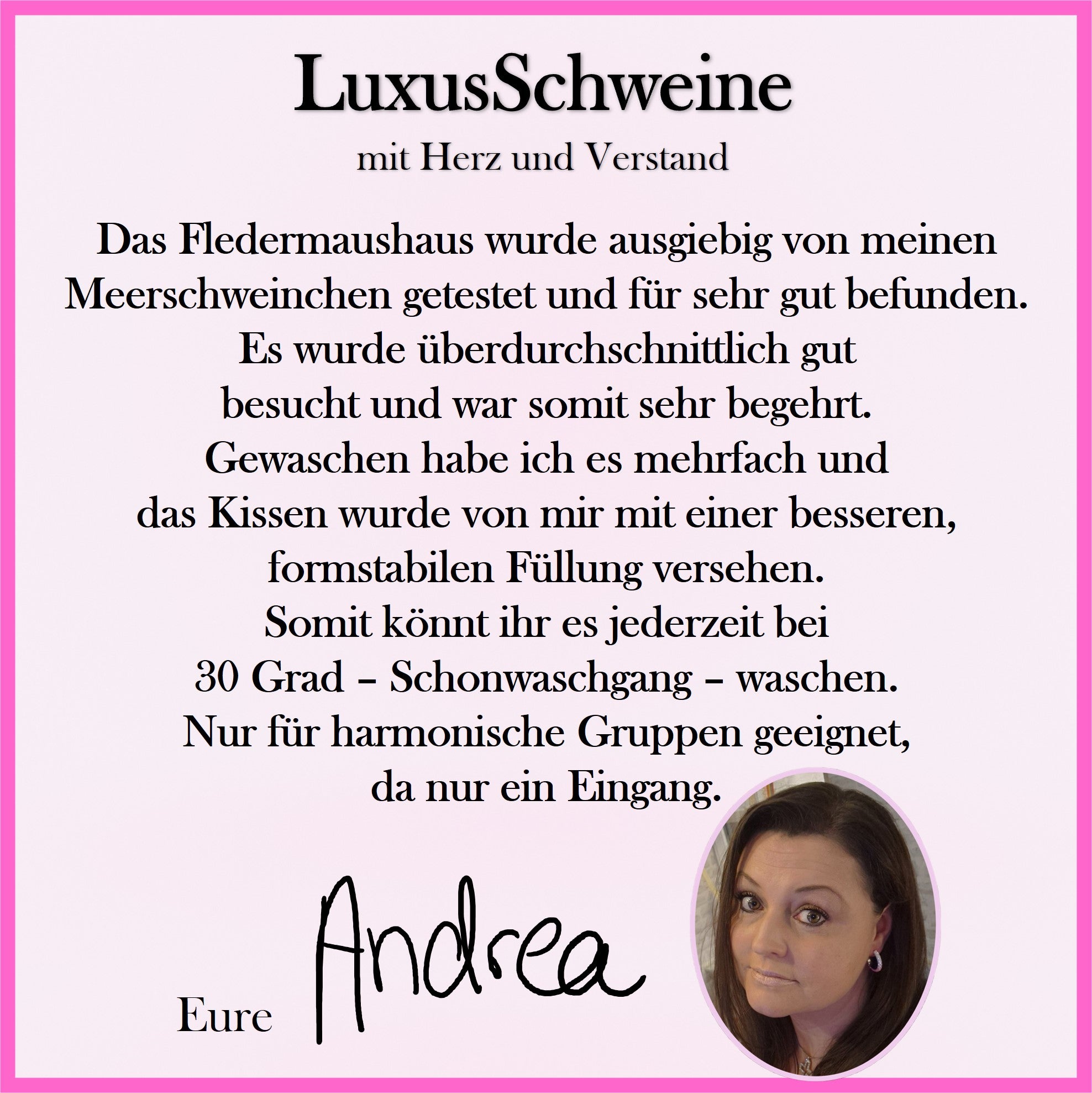 🦇 Bat House – Cozy designer house for guinea pigs