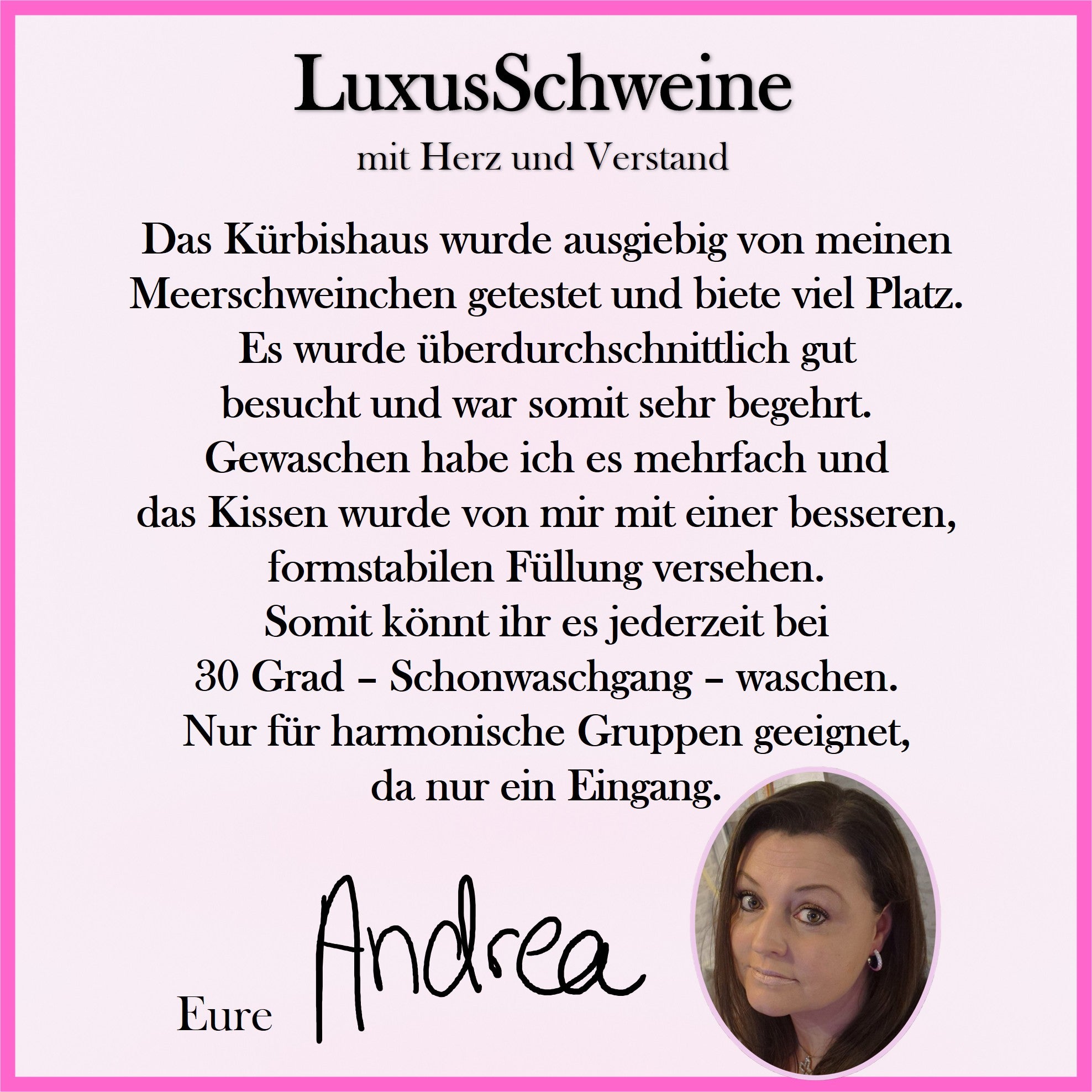 🏠🎃 Pumpkin House – The cuddle paradise for your guinea pigs