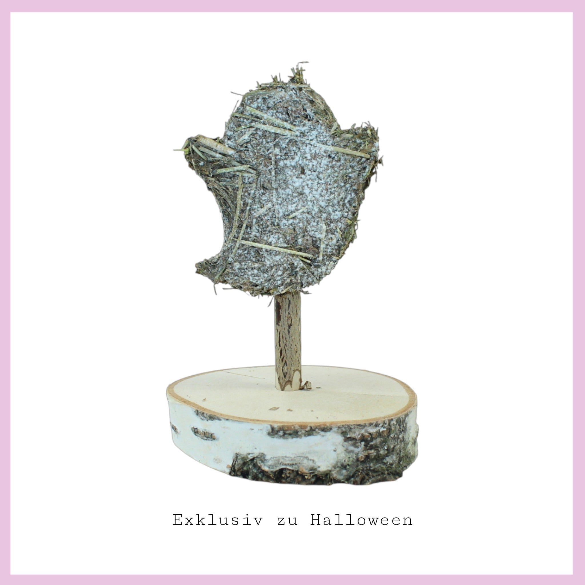 🎃 Terribly beautiful Halloween cookies for guinea pigs