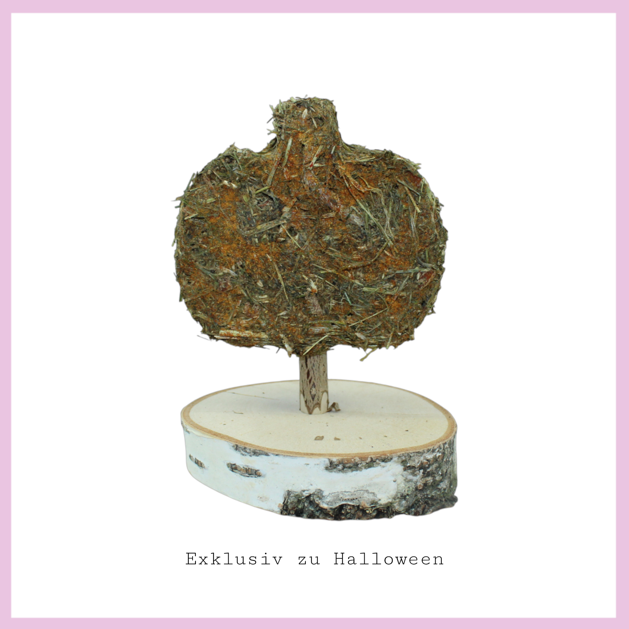 🎃 Terribly beautiful Halloween cookies for guinea pigs