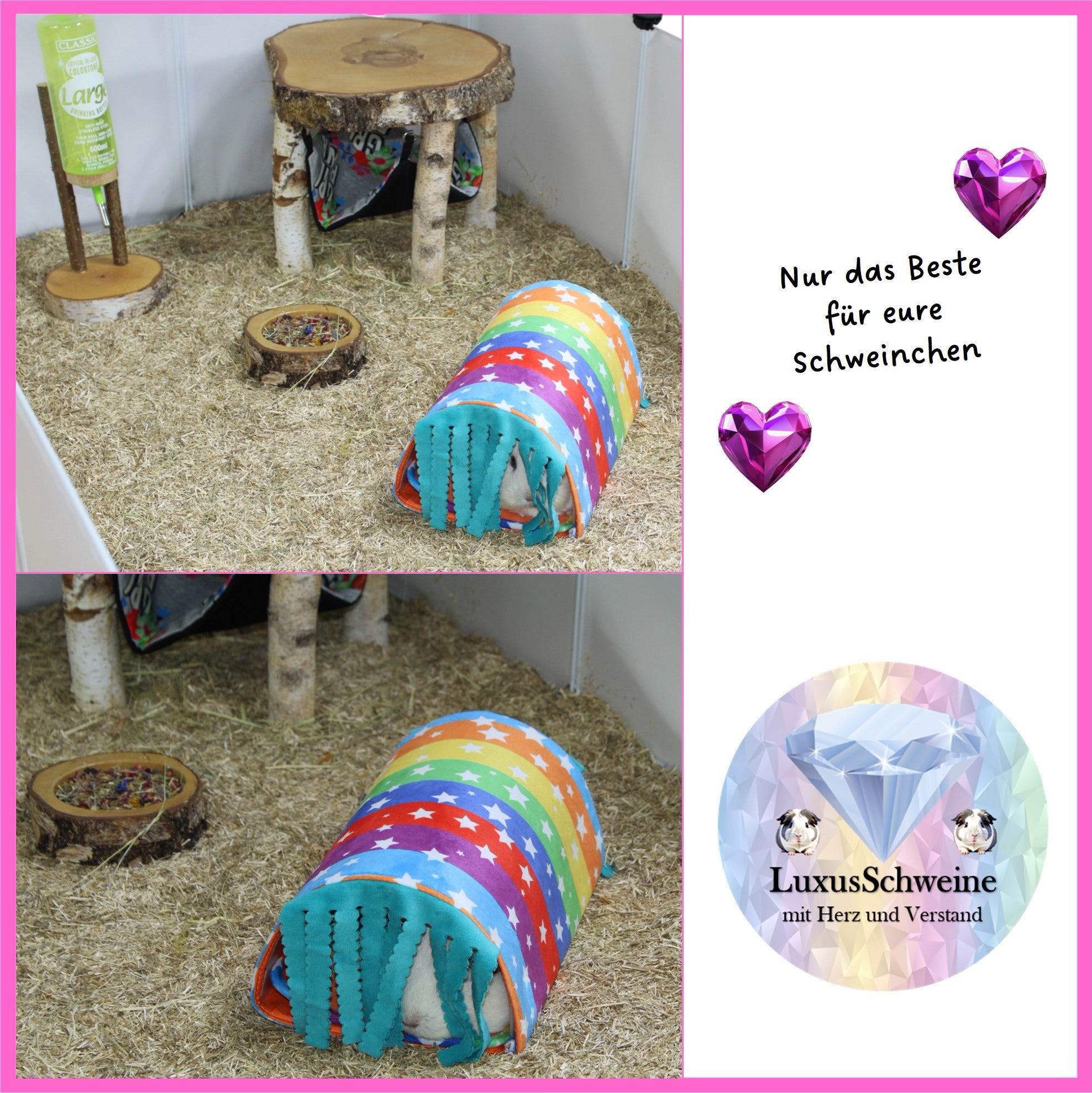 🌈🧼 Rainbow Car Wash – color, joy & cuddle factor for your guinea pigs!