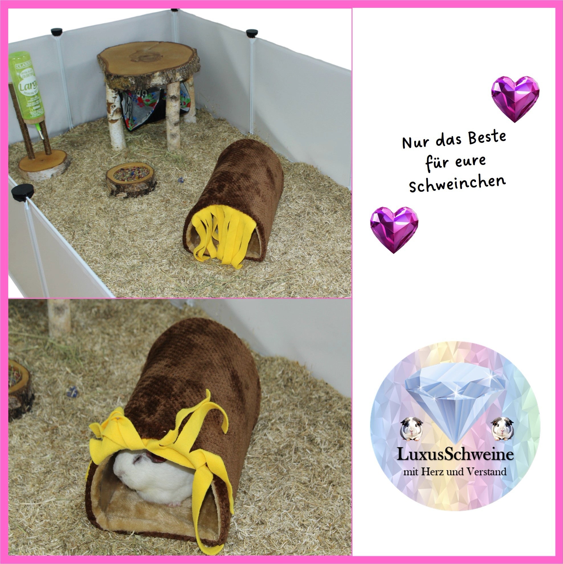 🚗🧼 Braun car wash – cuddly fun for your guinea pigs!