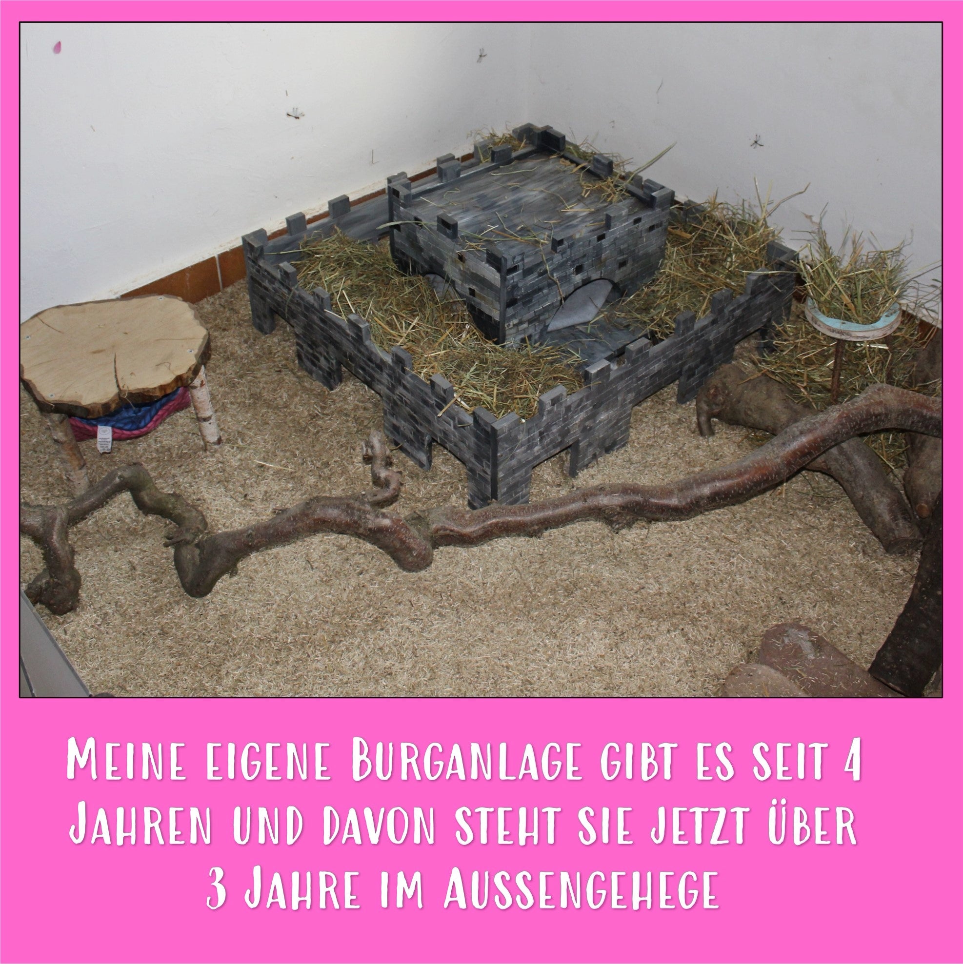 🏰 The Castle XL – Majestic accommodation for your guinea pigs