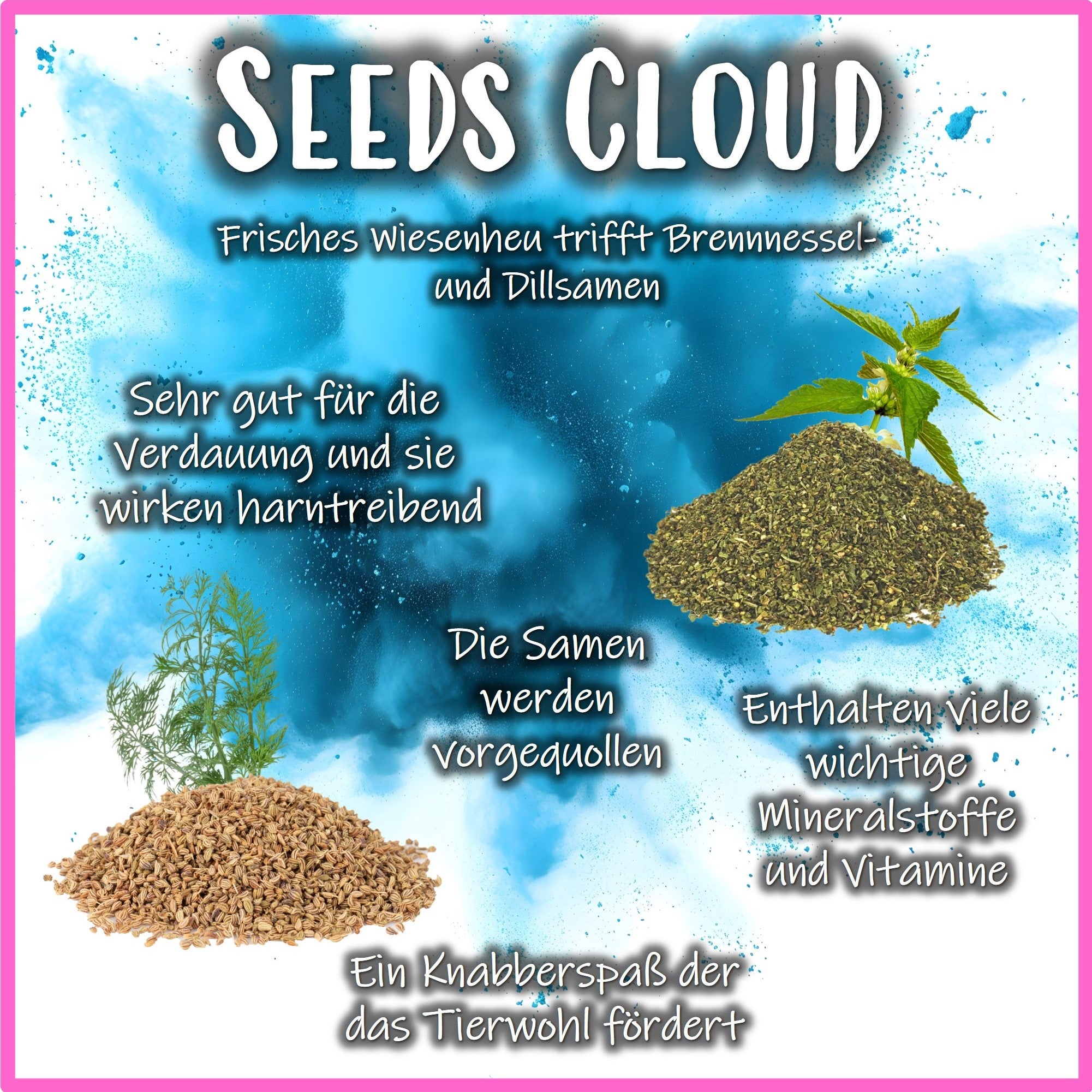 ๐ต Snack Balls Seeds Cloud โ Superfood snack for guinea pigs