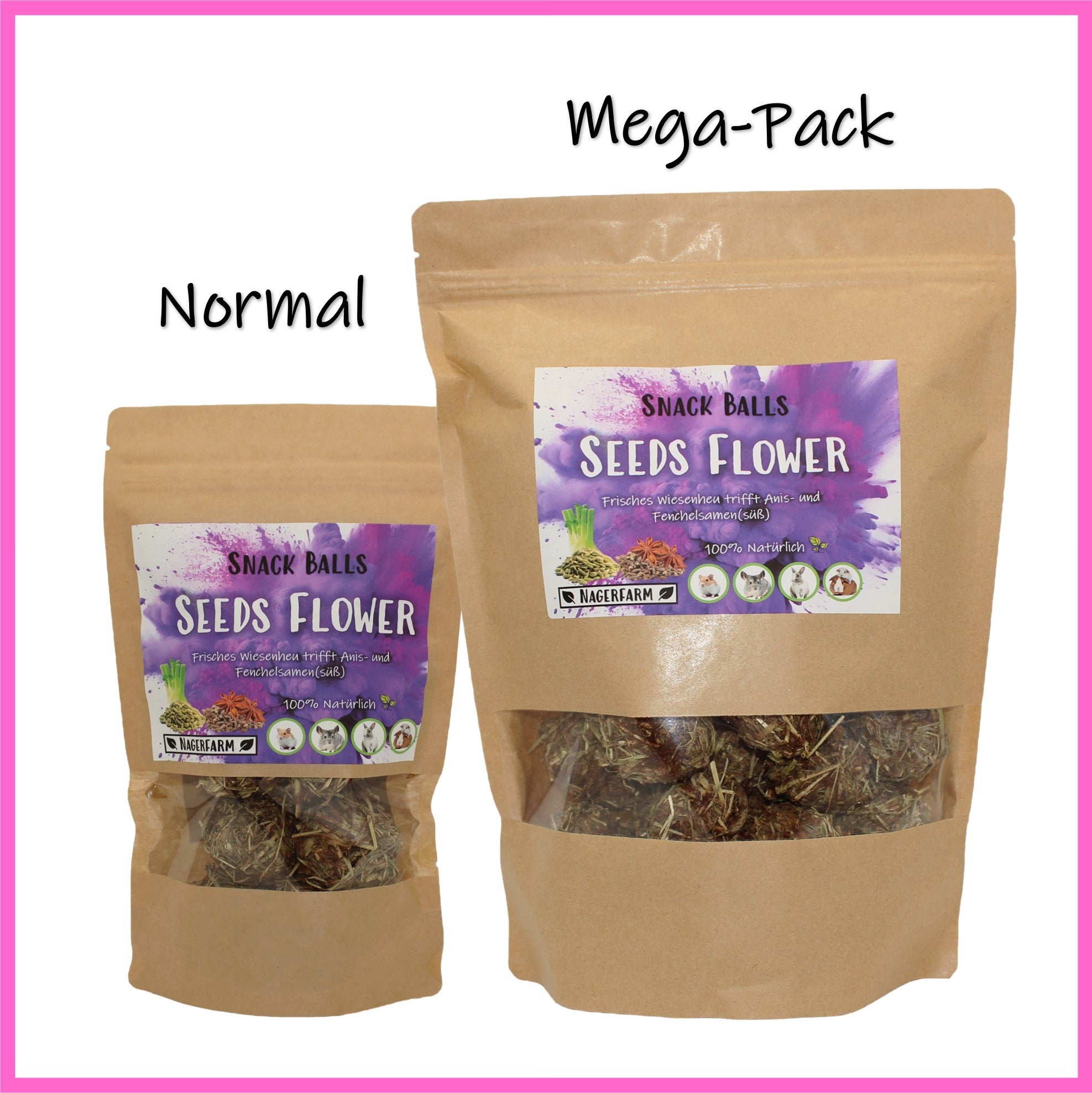 🟣 Snack Balls Seeds Flower – natural treats for guinea pigs