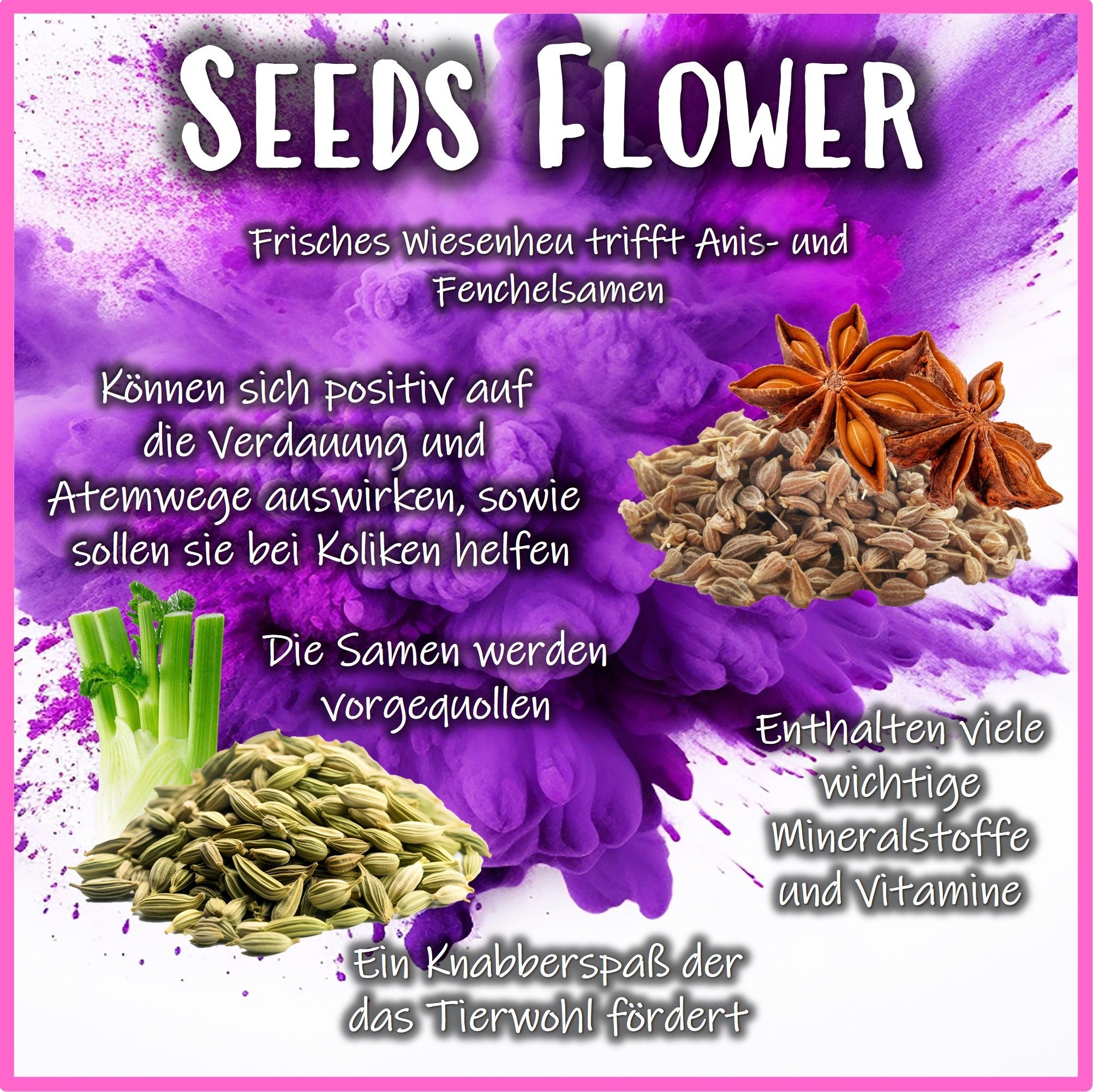 ๐ฃ Snack Balls Seeds Flower โ natural treats for guinea pigs