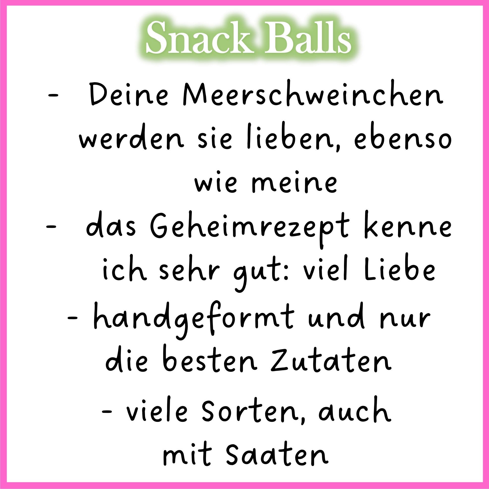 🟢 Snack Balls Seeds Nature – natural variety for healthy guinea pigs