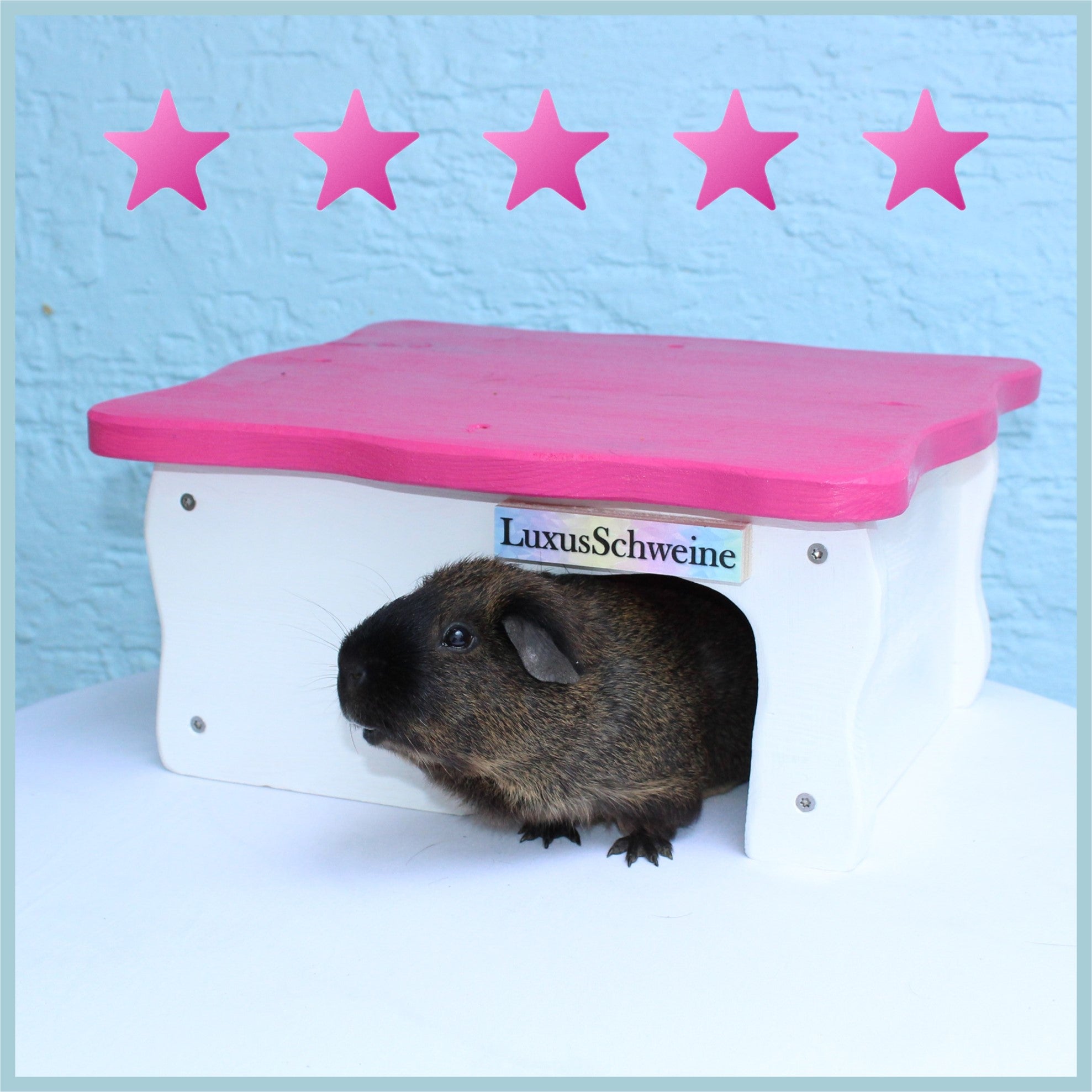 🏡✨ Luxury House 1.0 – Because your guinea pig deserves more!
