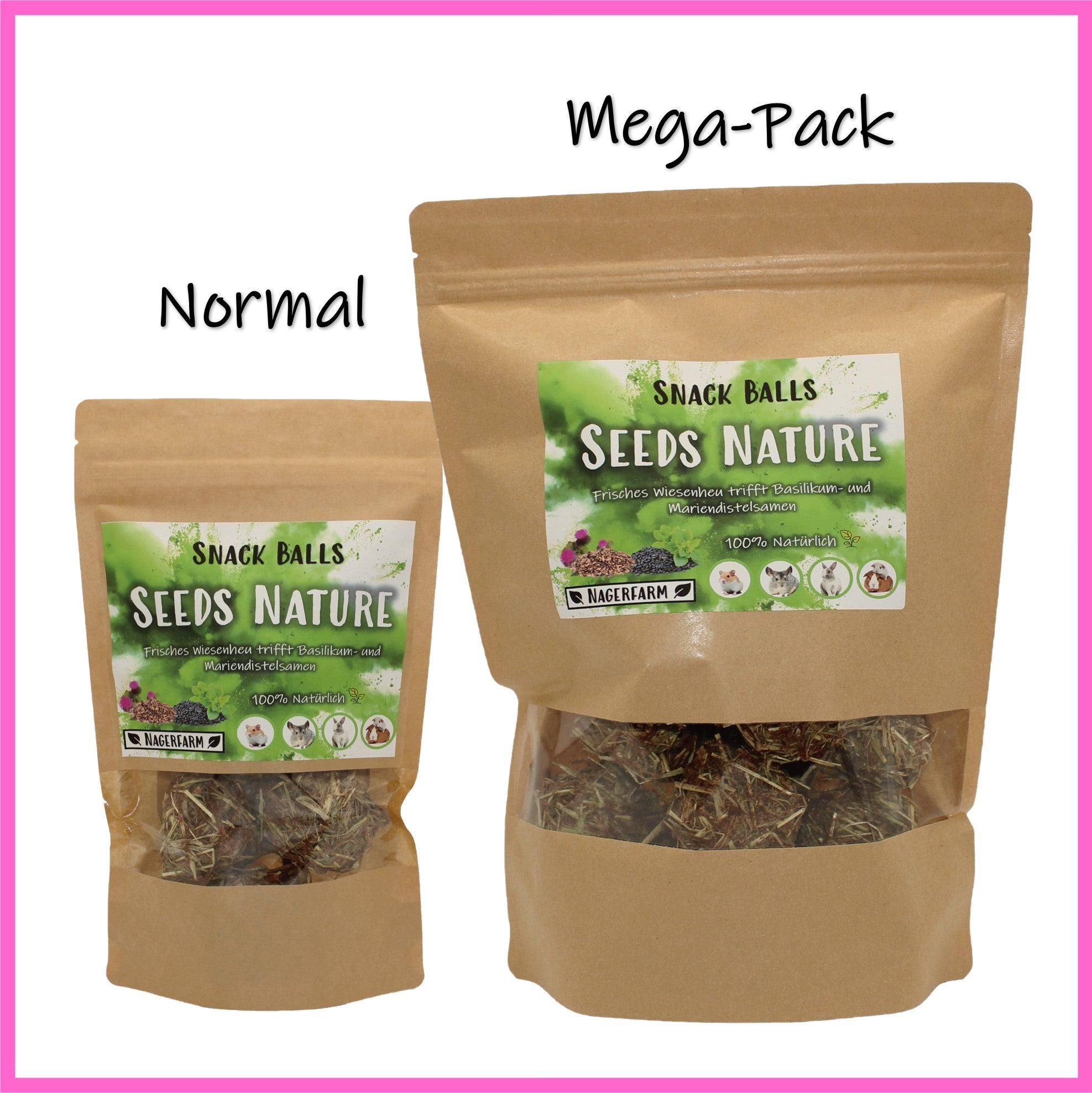 🟢 Snack Balls Seeds Nature – natural variety for healthy guinea pigs