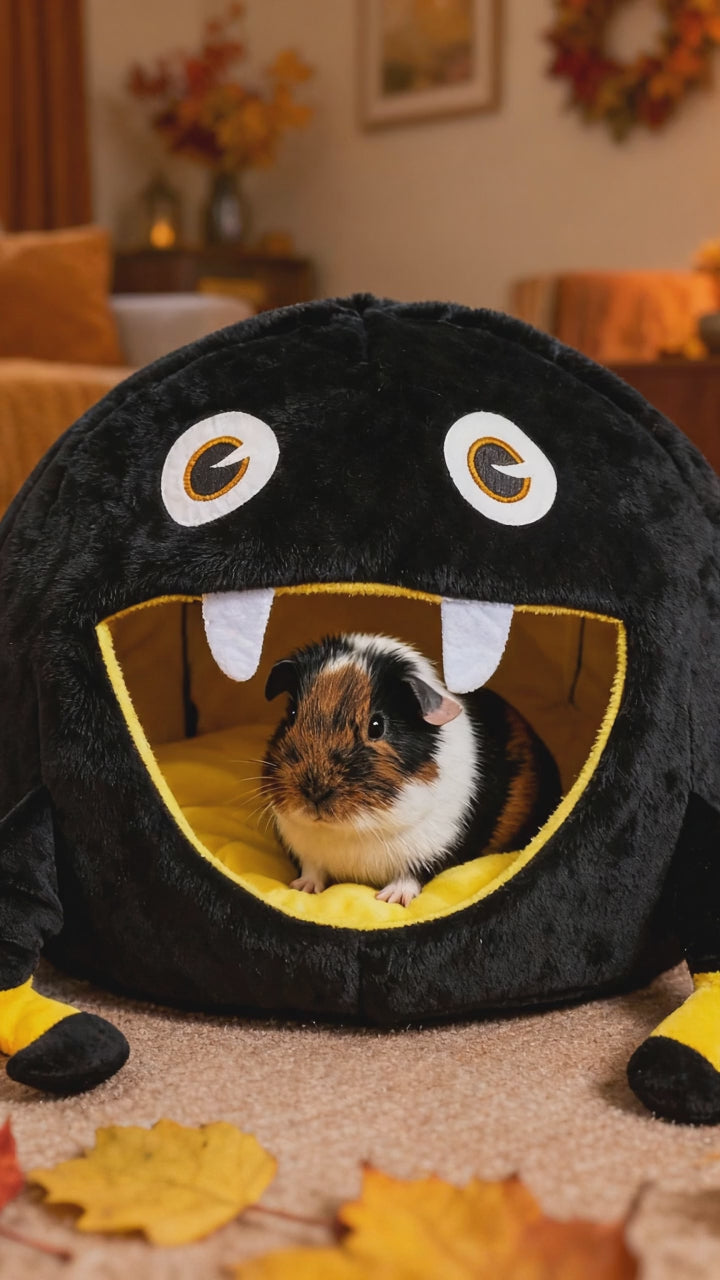 🕸️ Spinnenhaus – Das Kuschelparadies für deine Meerschweinchen