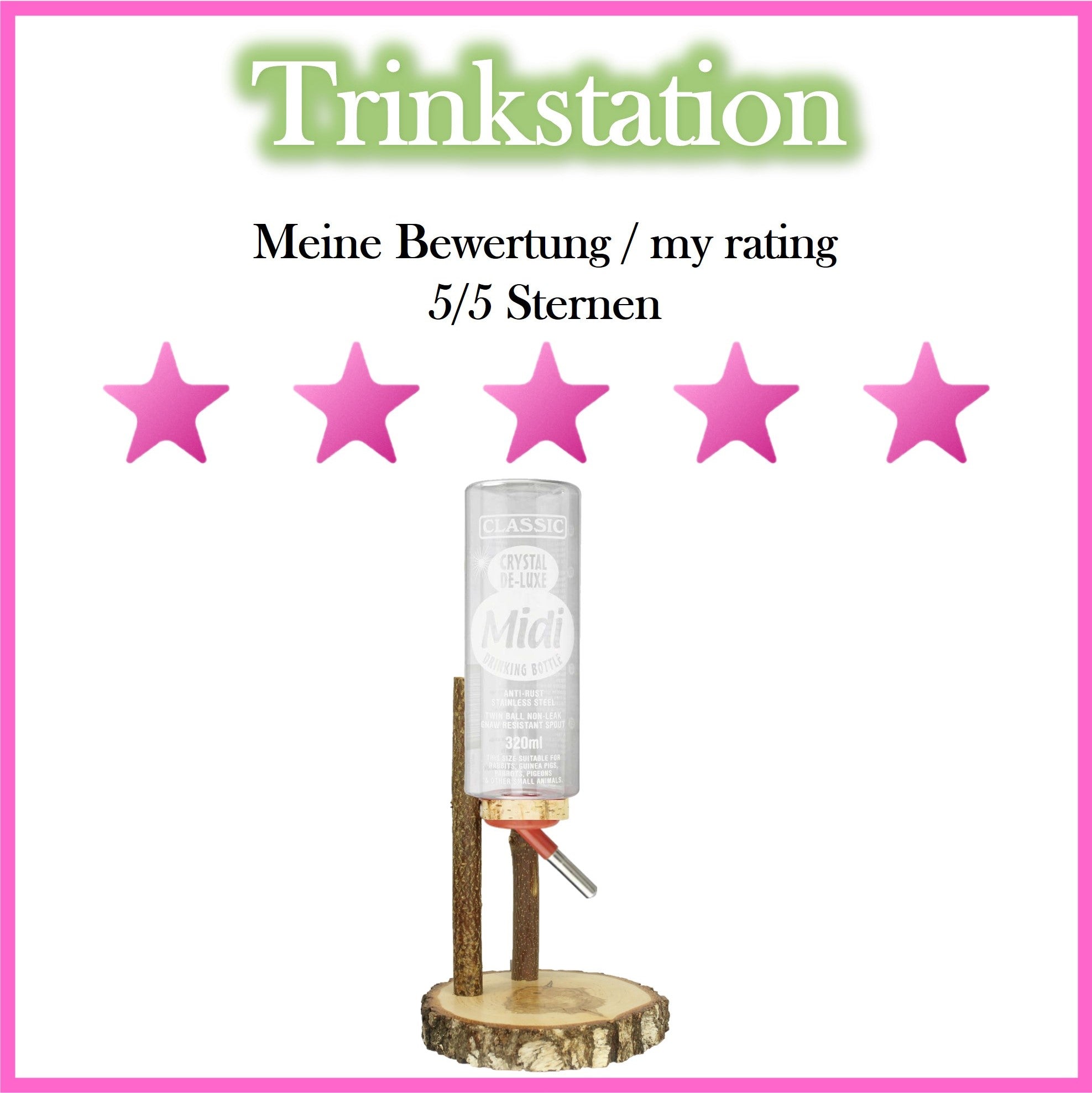 💦 Drinking stations for guinea pigs – clean water, simple & practical