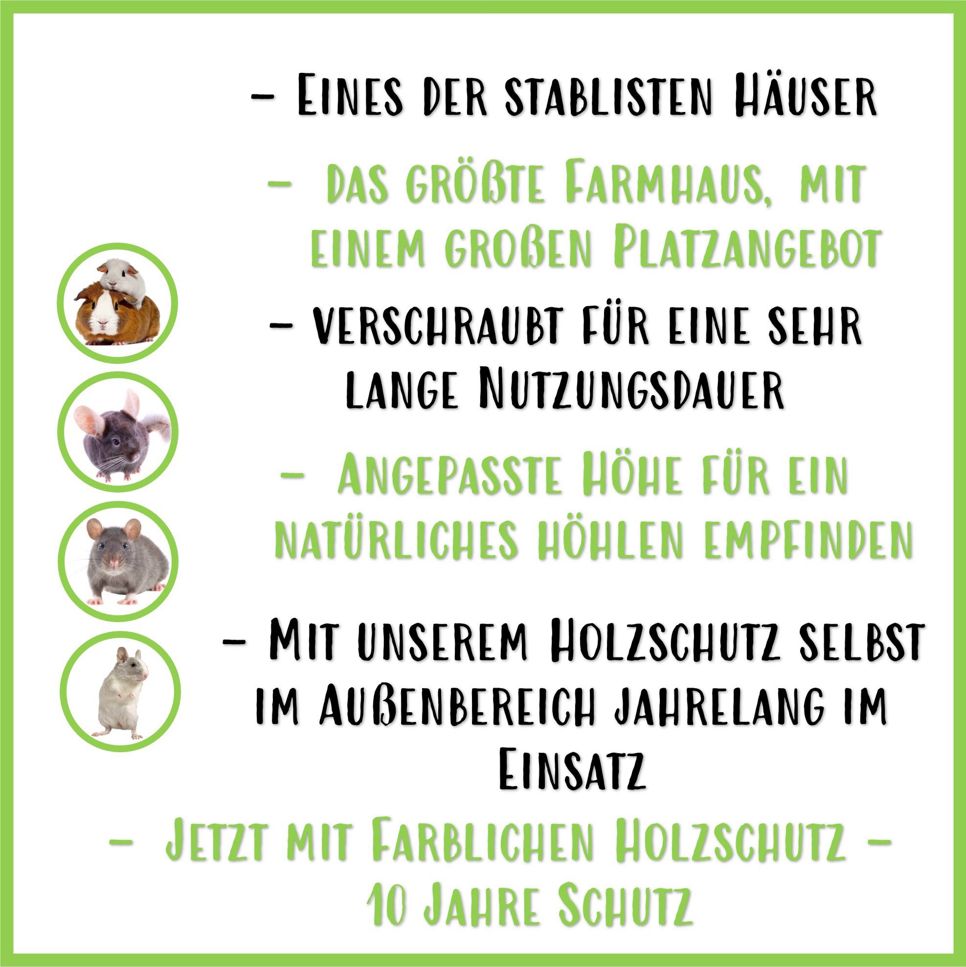 🏢Farmhouse 3.0 – The largest feel-good house for guinea pigs