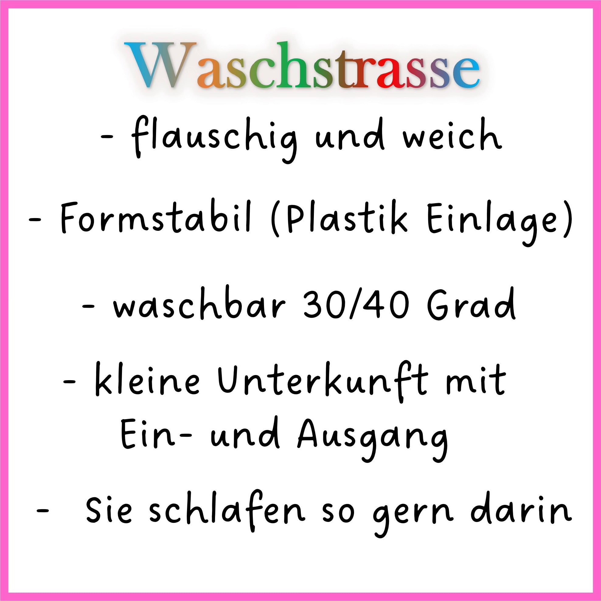 🌈🧼 Rainbow Car Wash – color, joy & cuddle factor for your guinea pigs!
