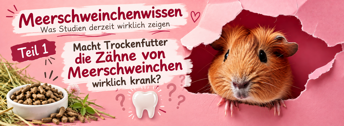 Teil 1: Macht Trockenfutter die Zähne von Meerschweinchen wirklich krank?
