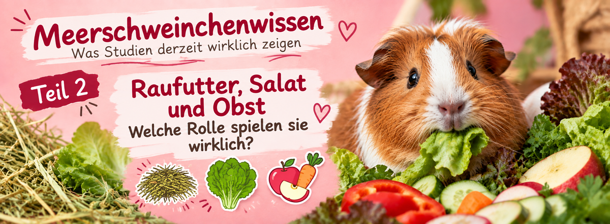 Teil 2: Raufutter, Salat und Obst – Welche Rolle spielen sie wirklich?