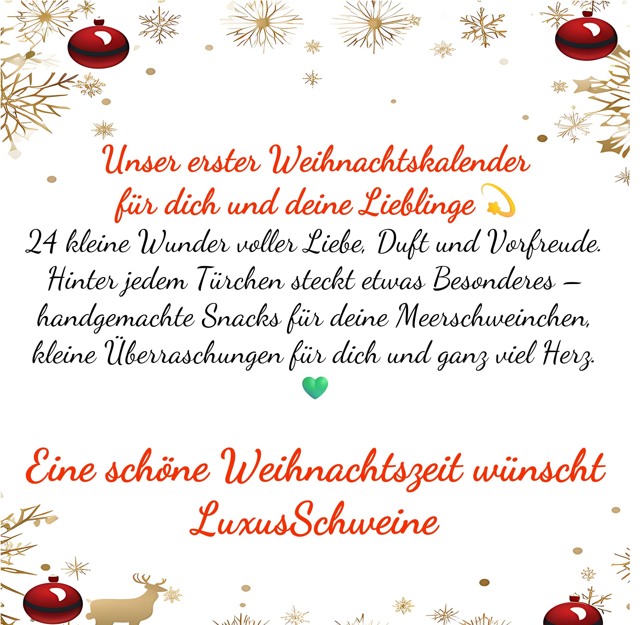 🎁 Weihnachtskalender für Dich & Deine Meerschweinchen – 24 Tage voller Freude 🎅