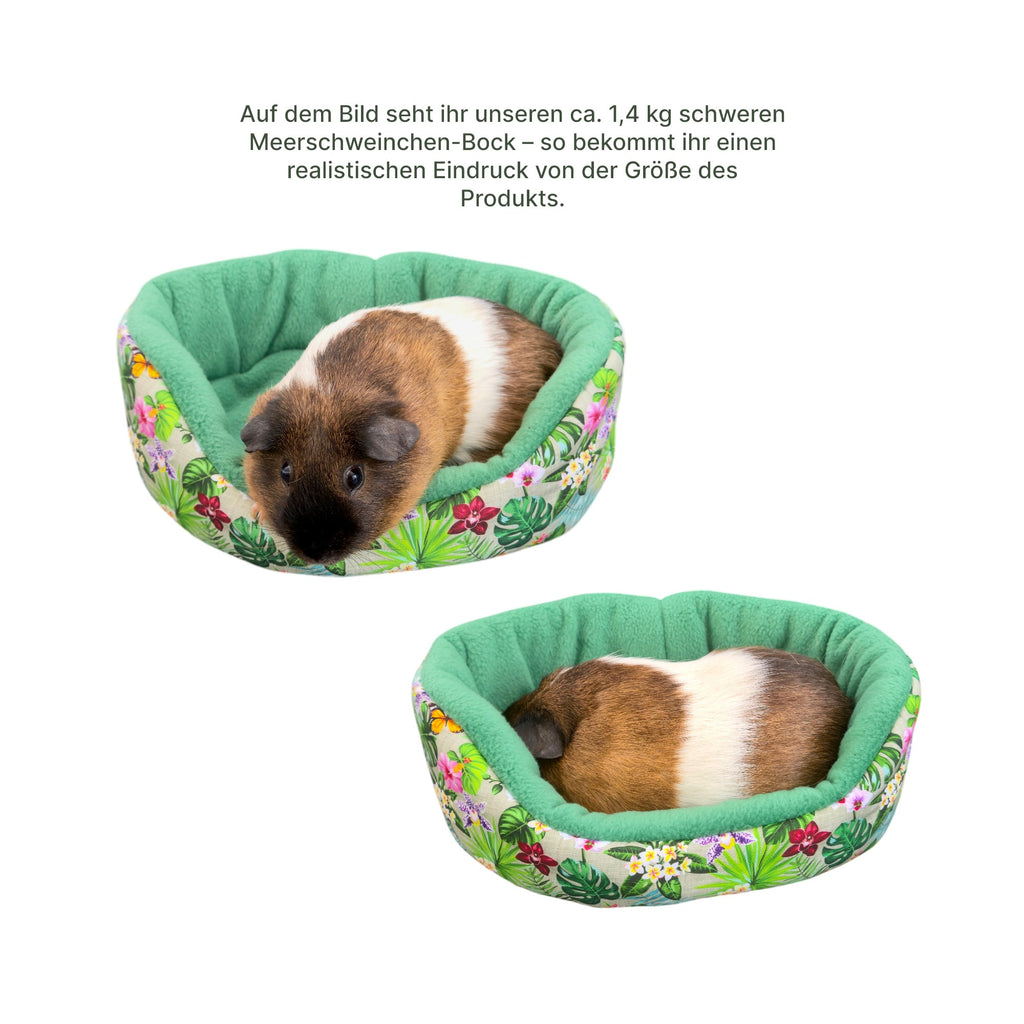 🌿 Kuschelsofa Jungle Grün – Gemütlicher Lieblingsplatz für Meerschweinchen