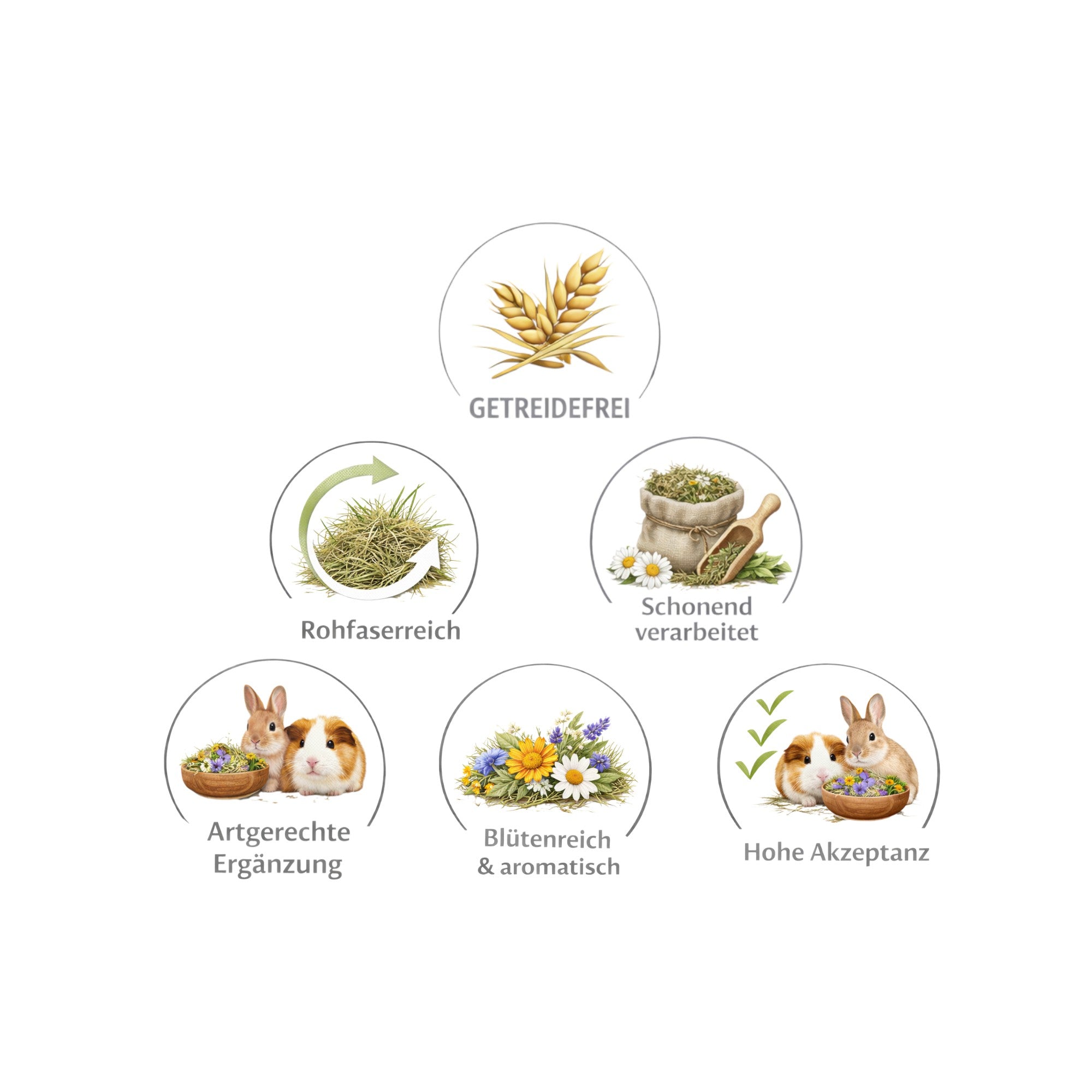 💜 Blütenherz Geschenkset – ein Herzensgruß für deine Meerschweinchen