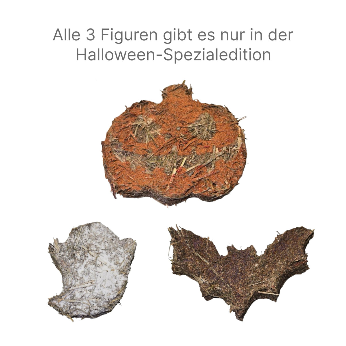 🎃 Halloween-Snacks – Kürbis & Geist für Meerschweinche