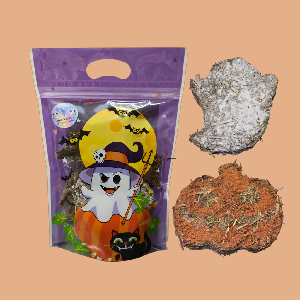 🎃 Galletas de Halloween terroríficamente bonitas para cobayas