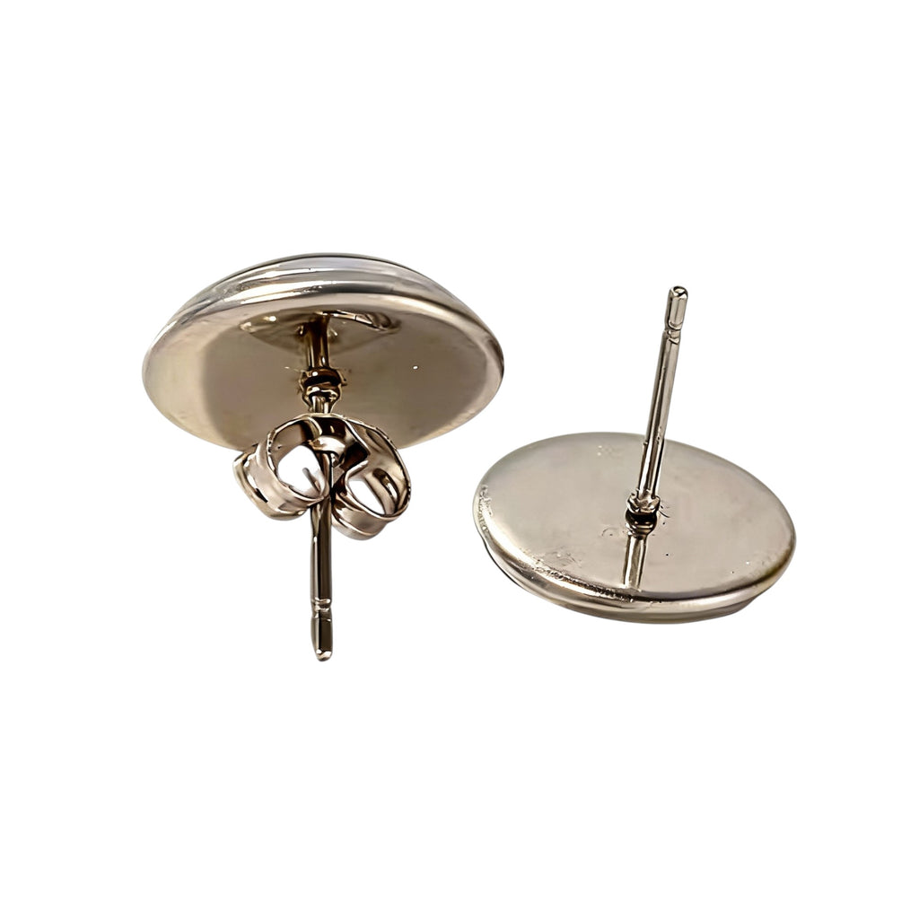 🎻Ohrstecker mit Meerschweinchen & Streichinstrument