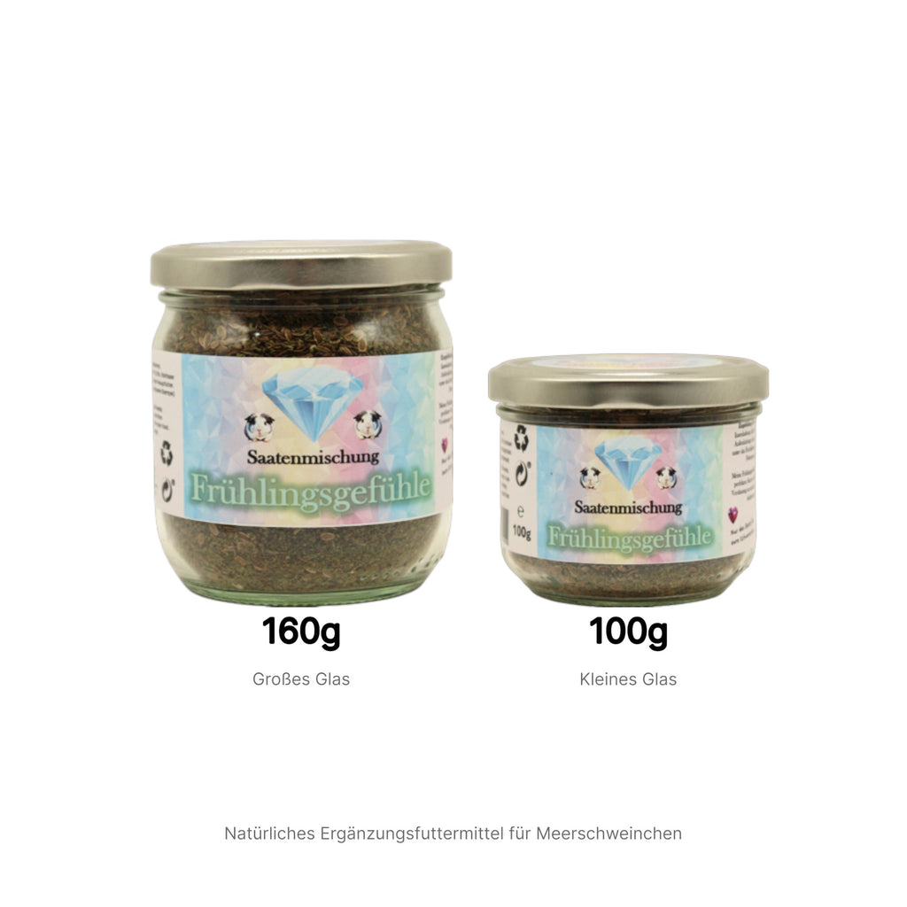 🌷 Mélange de graines Sentiments de printemps – démarrez naturellement !