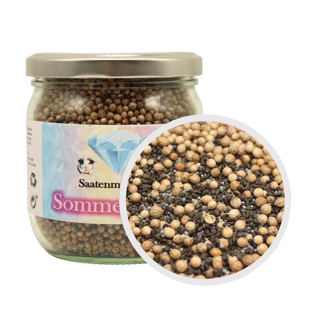 🌞 Mezcla de semillas "Sueño de verano" – ligera y aromática para el verano