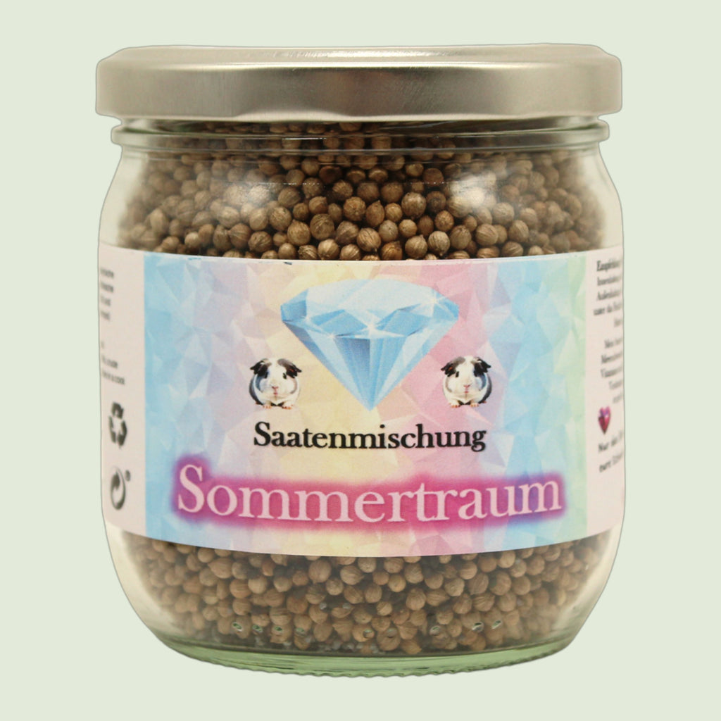 🌞 Mezcla de semillas "Sueño de verano" – ligera y aromática para el verano