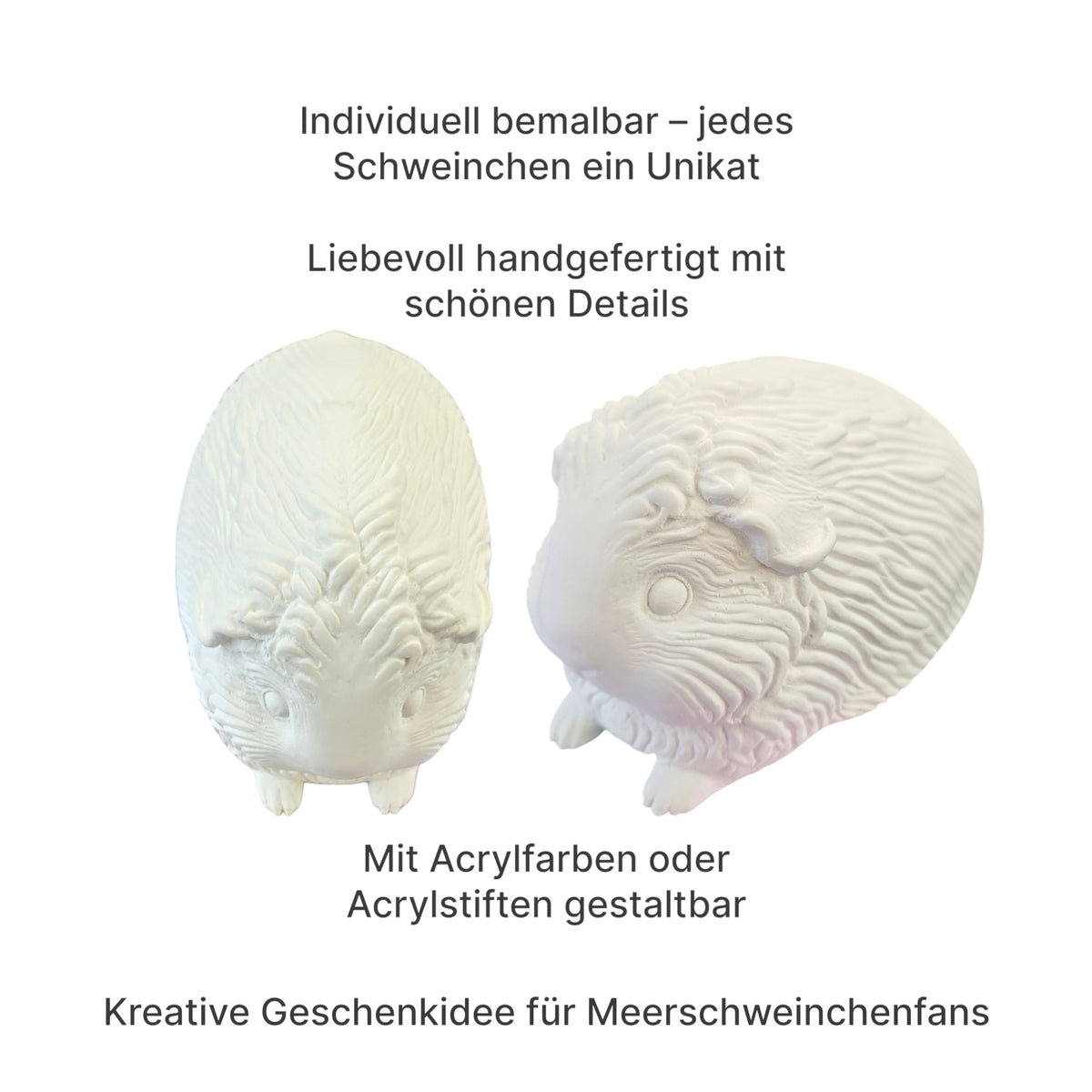 🎨 Selberdings – Großes Meerschweinchen zum Selbstbemalen