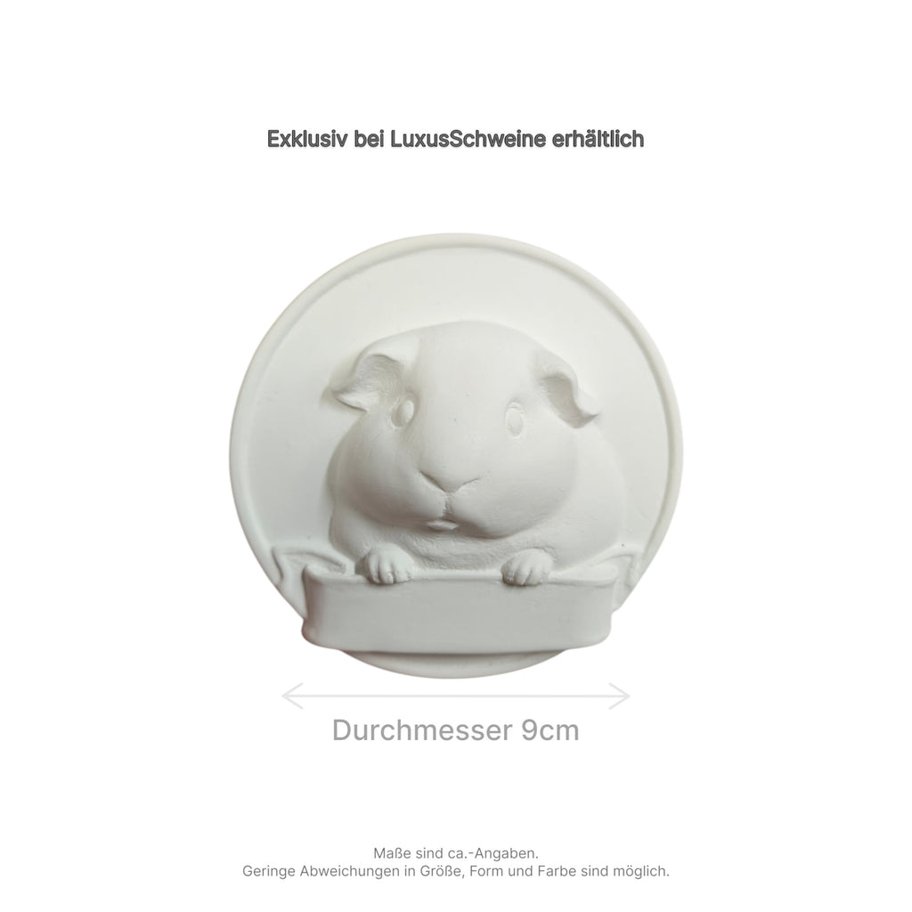 🎨Selberdings – Meerschweinchen-Porträt zum Selbstbemalen mit Namensfeld