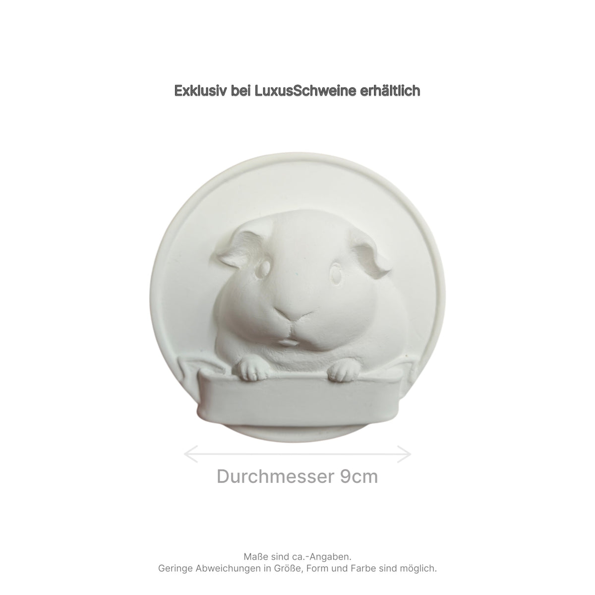 🎨Selberdings – Meerschweinchen-Porträt zum Selbstbemalen mit Namensfeld