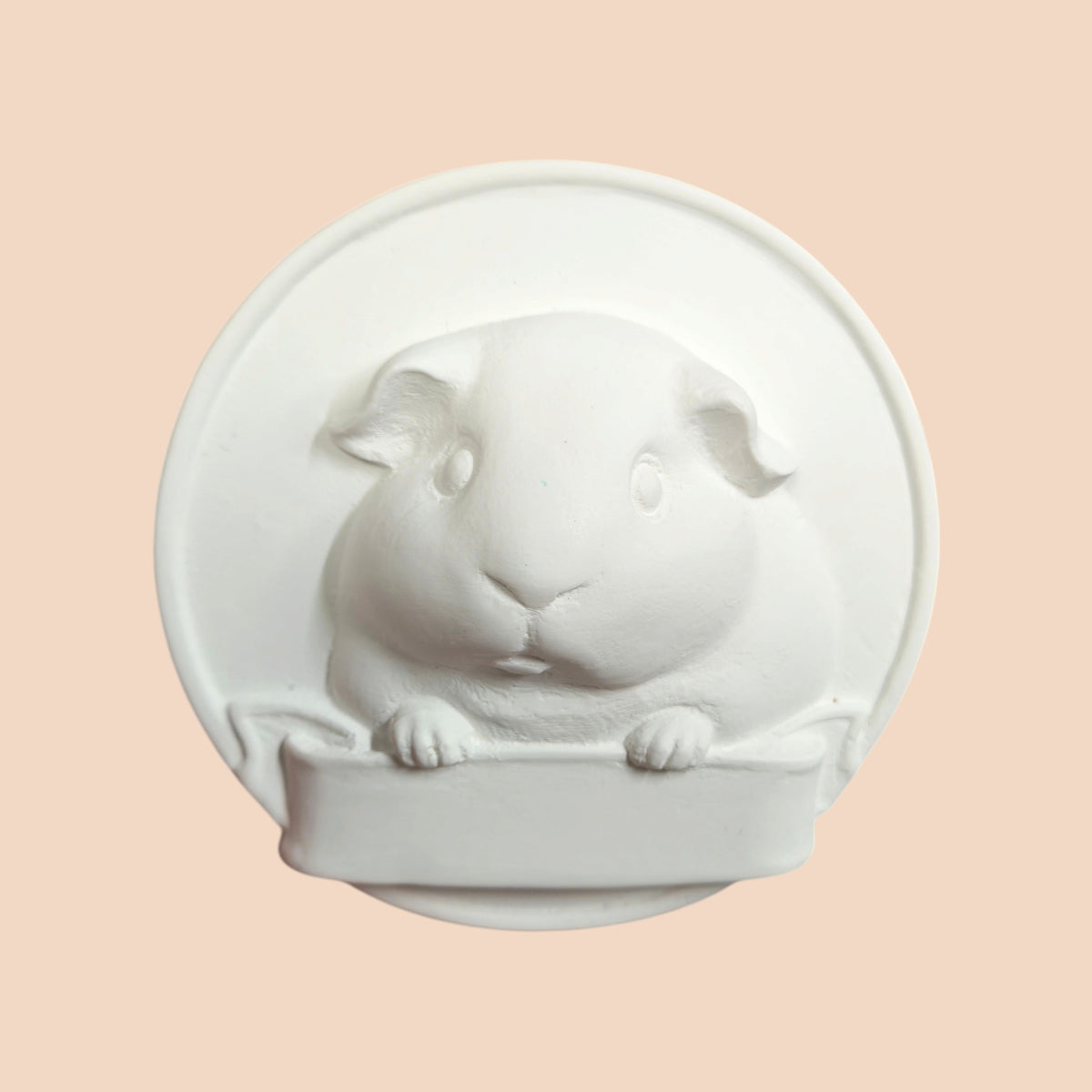 🎨Selberdings – Meerschweinchen-Porträt zum Selbstbemalen mit Namensfeld