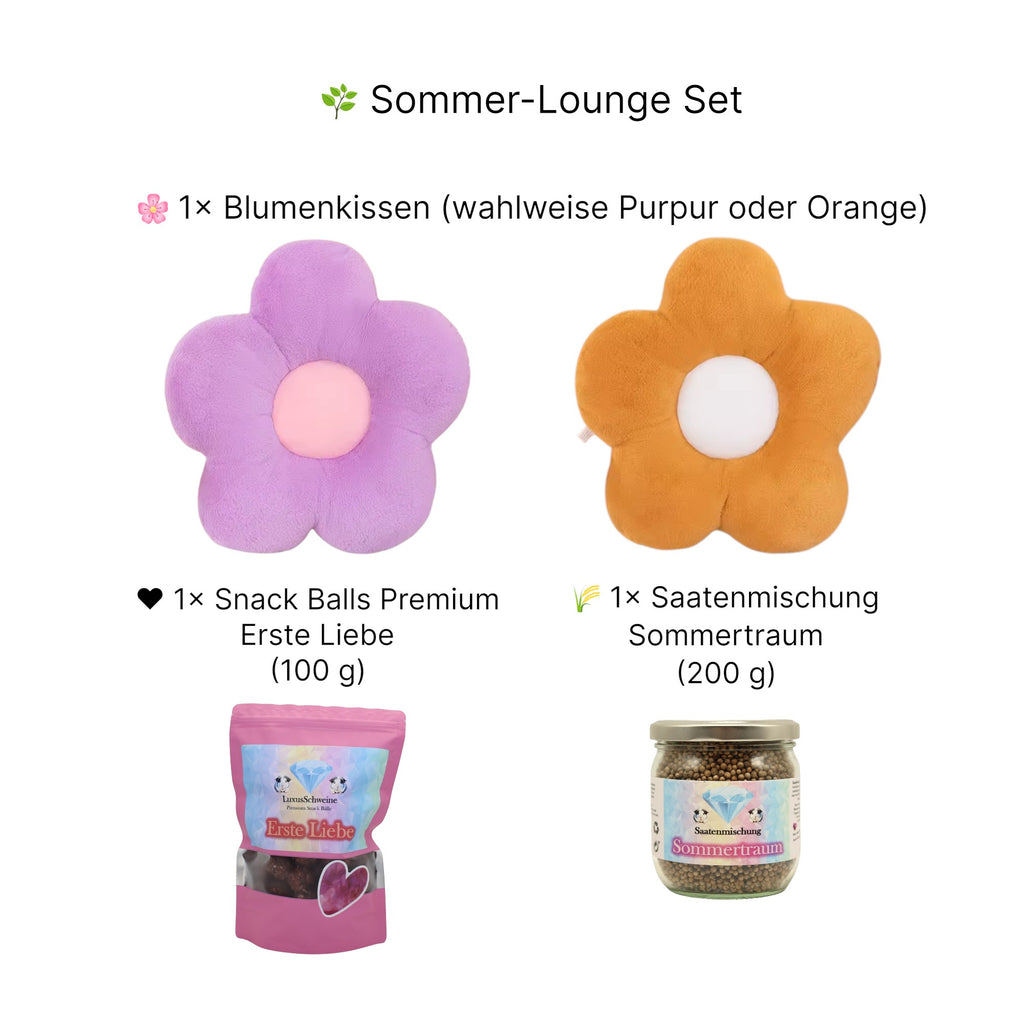 🌿 Sommer-Lounge – Verwöhnset für Meerschweinchen