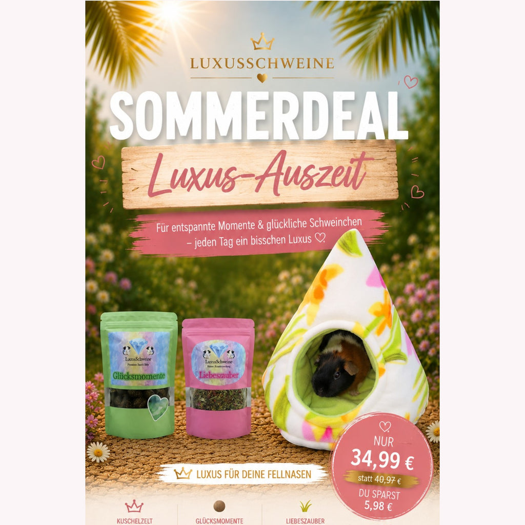 👑Luxus-Auszeit – Verwöhnset für Meerschweinchen