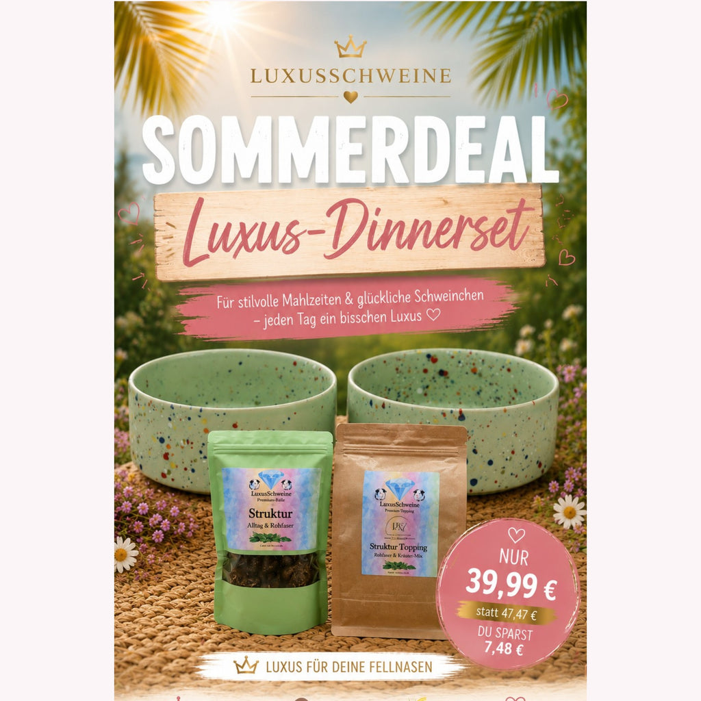 👑 Luxus-Dinnerset – Sommerdeal für Meerschweinchen