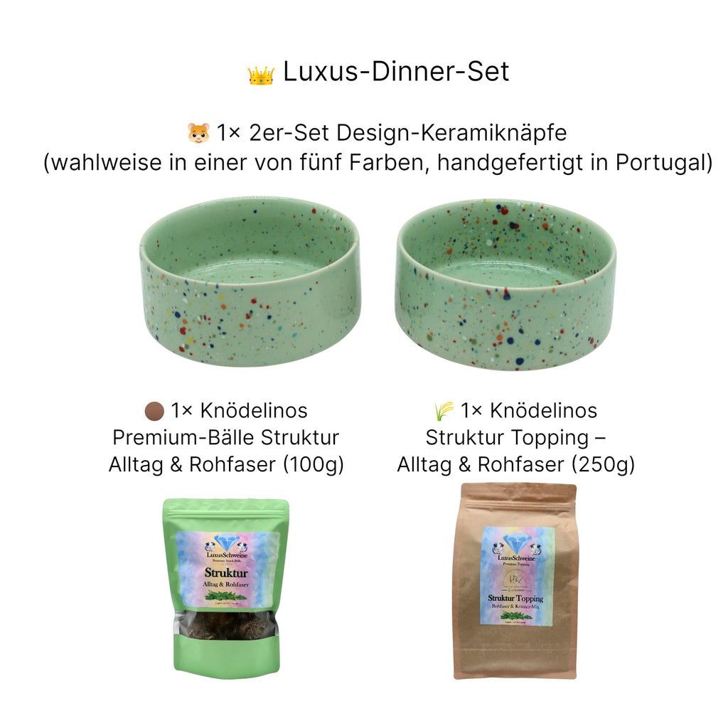 👑 Luxus-Dinnerset – Sommerdeal für Meerschweinchen