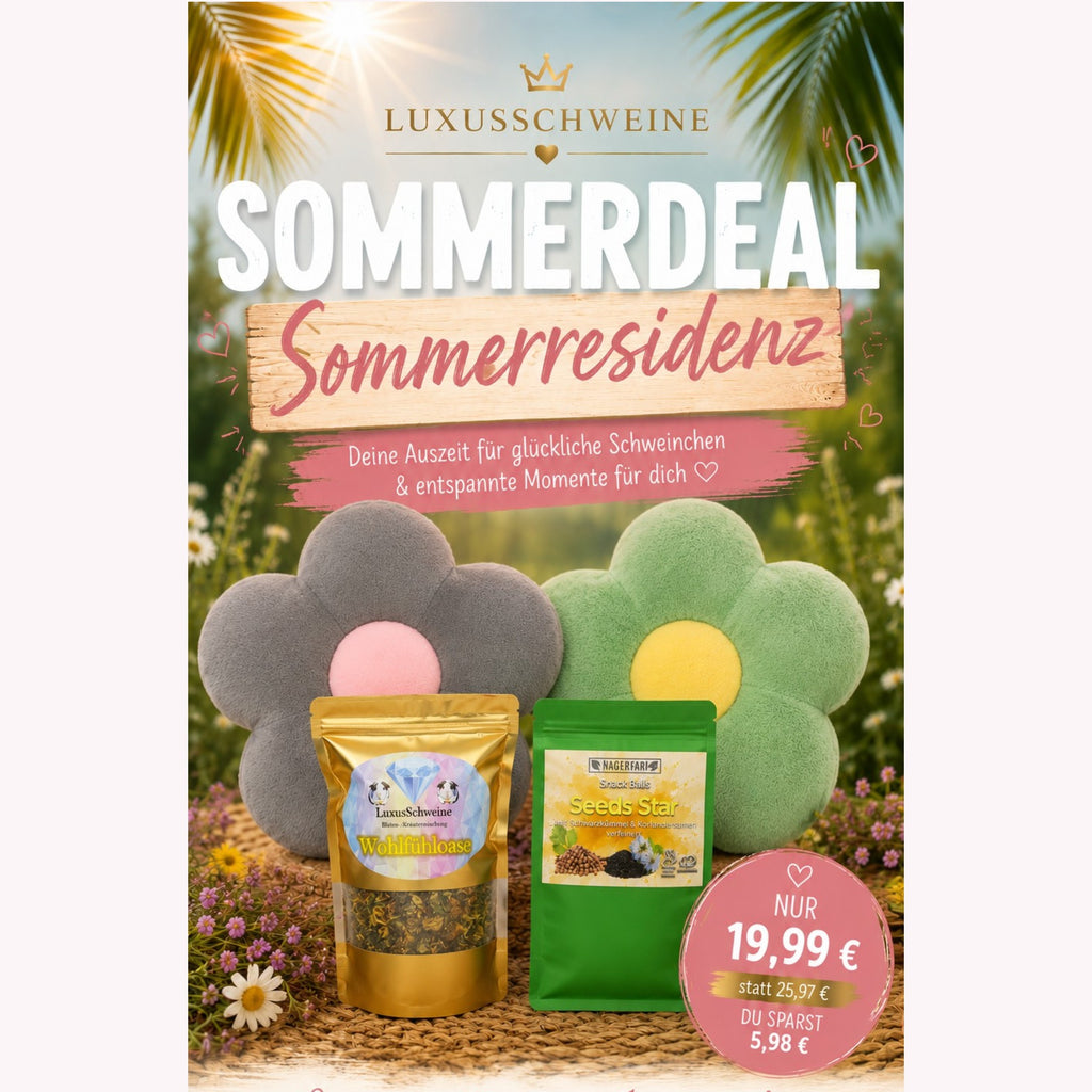 🌴 Sommerresidenz – Verwöhnset für Meerschweinchen