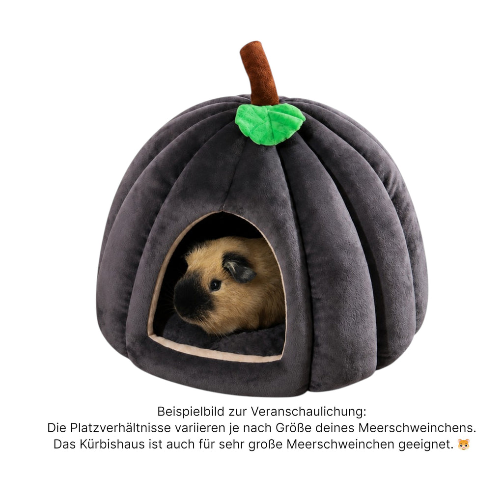 🏠🎃 Kürbishaus – Gemütlicher Rückzugsort für deine Meerschweinchen