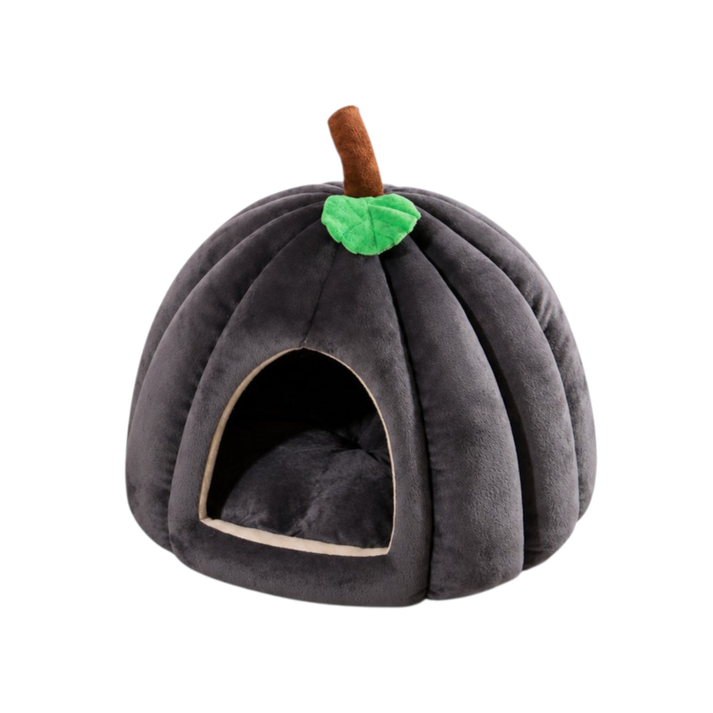 🏠🎃 Kürbishaus – Gemütlicher Rückzugsort für deine Meerschweinchen