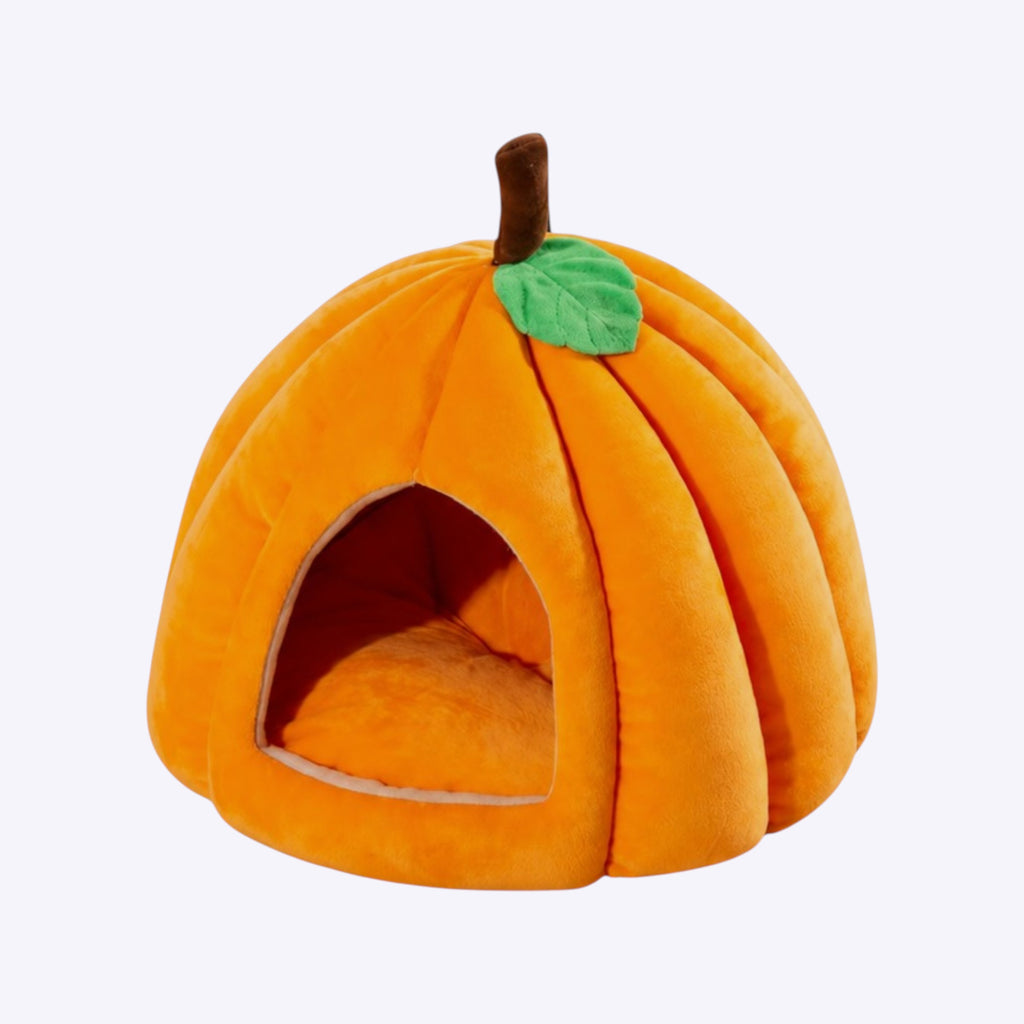 🏠🎃 Casita calabaza – Refugio acogedor para tus cobayas
