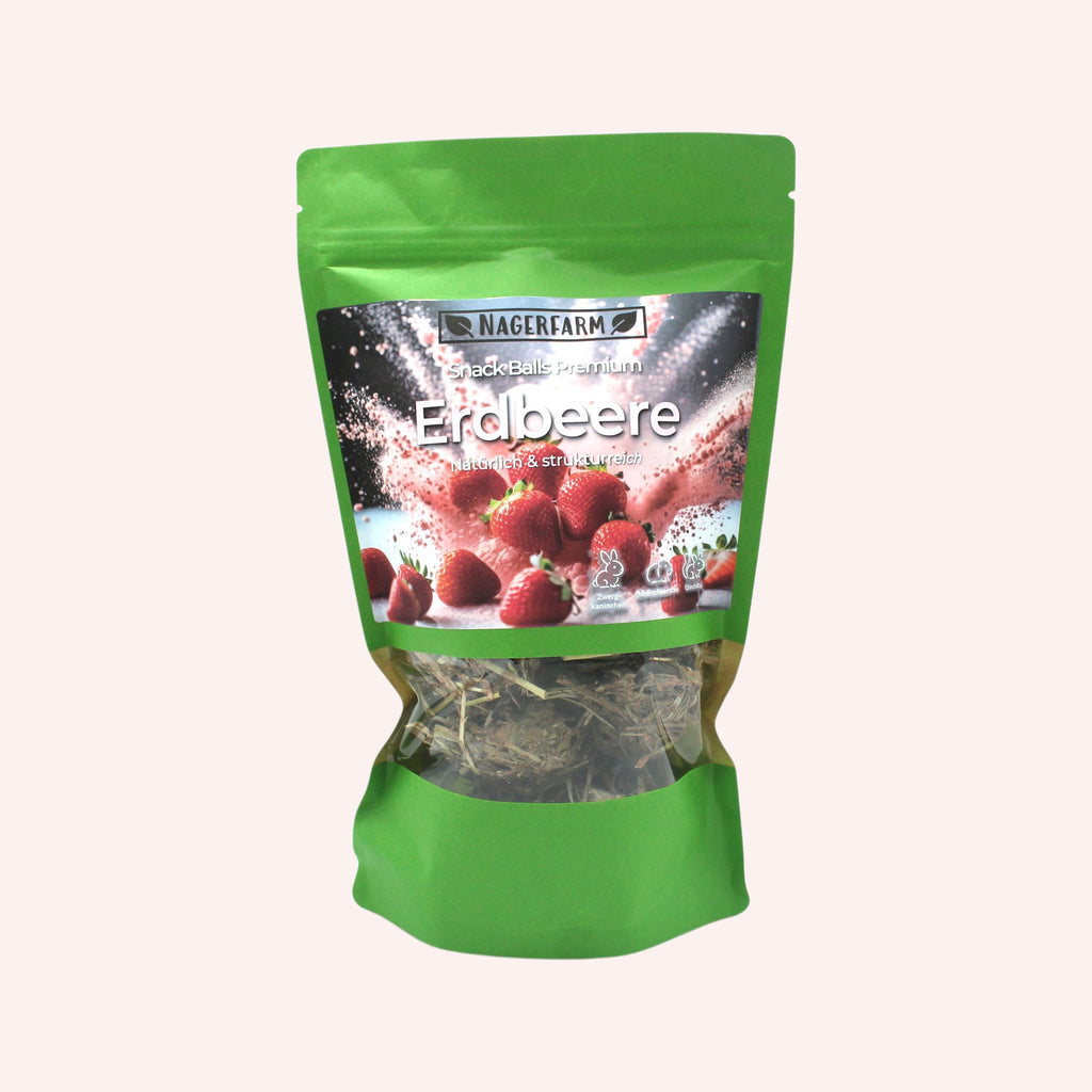 🍓Snack Balls Premium – Aardbei – kleine traktaties