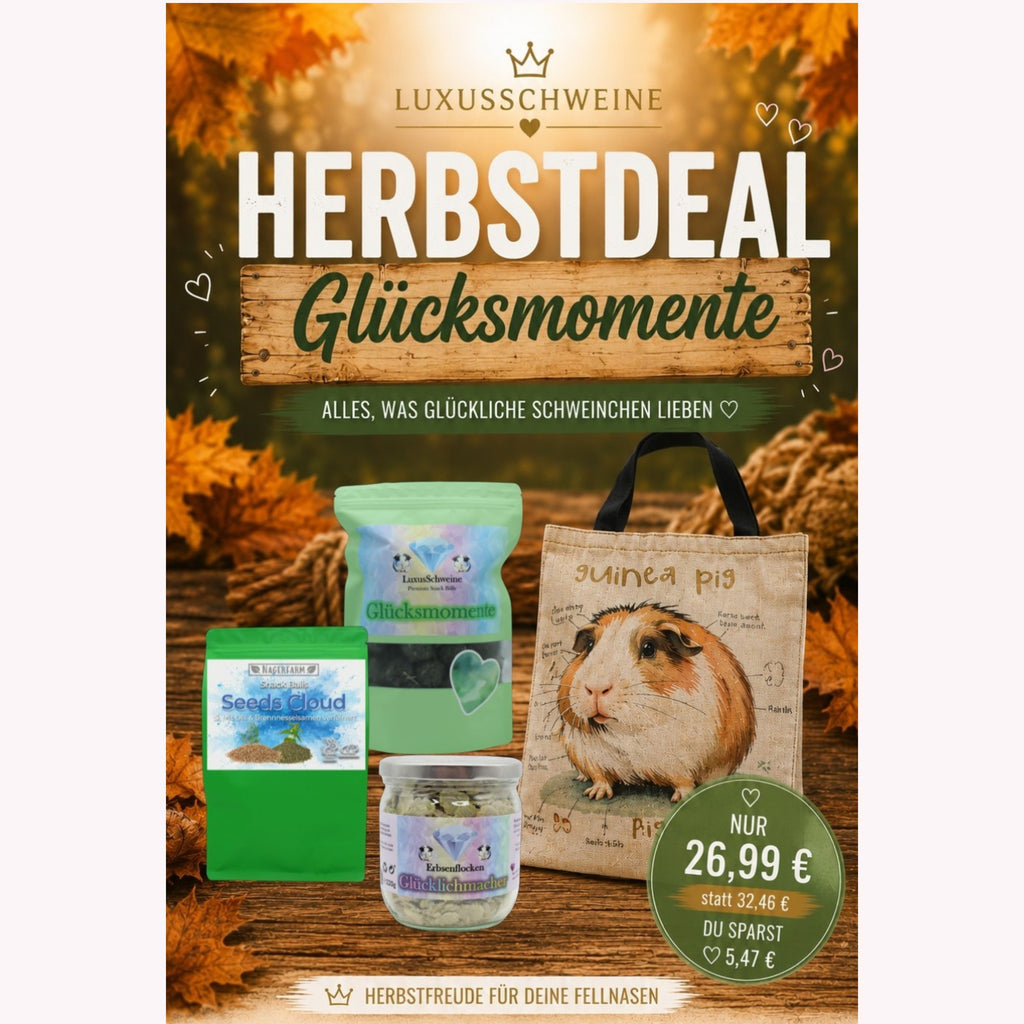 🍂 Herbstdeal „Glücksmomente“ – Alles, was glückliche Schweinchen lieben