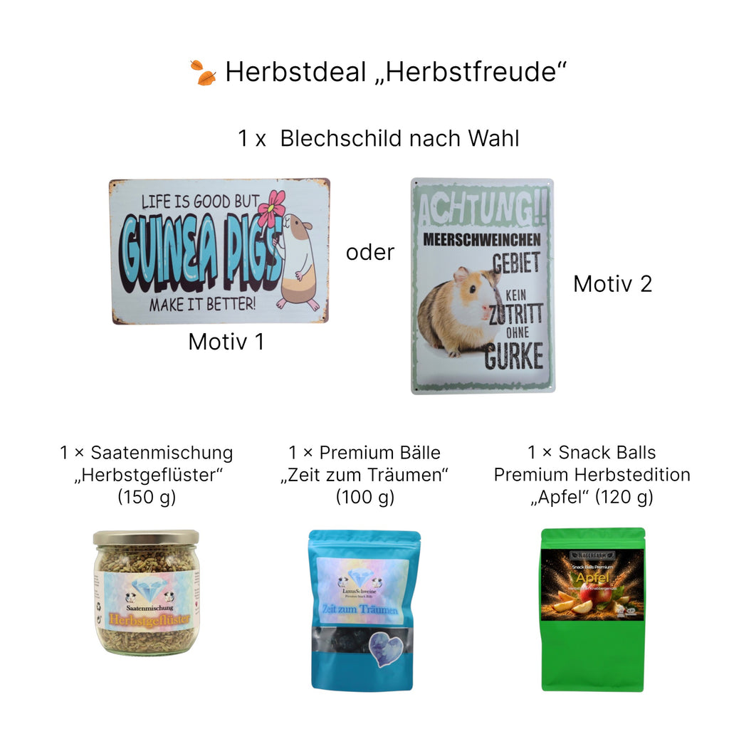 🍂 Herbstdeal „Herbstfreude“ – Knabbergenuss & Lieblingsdeko