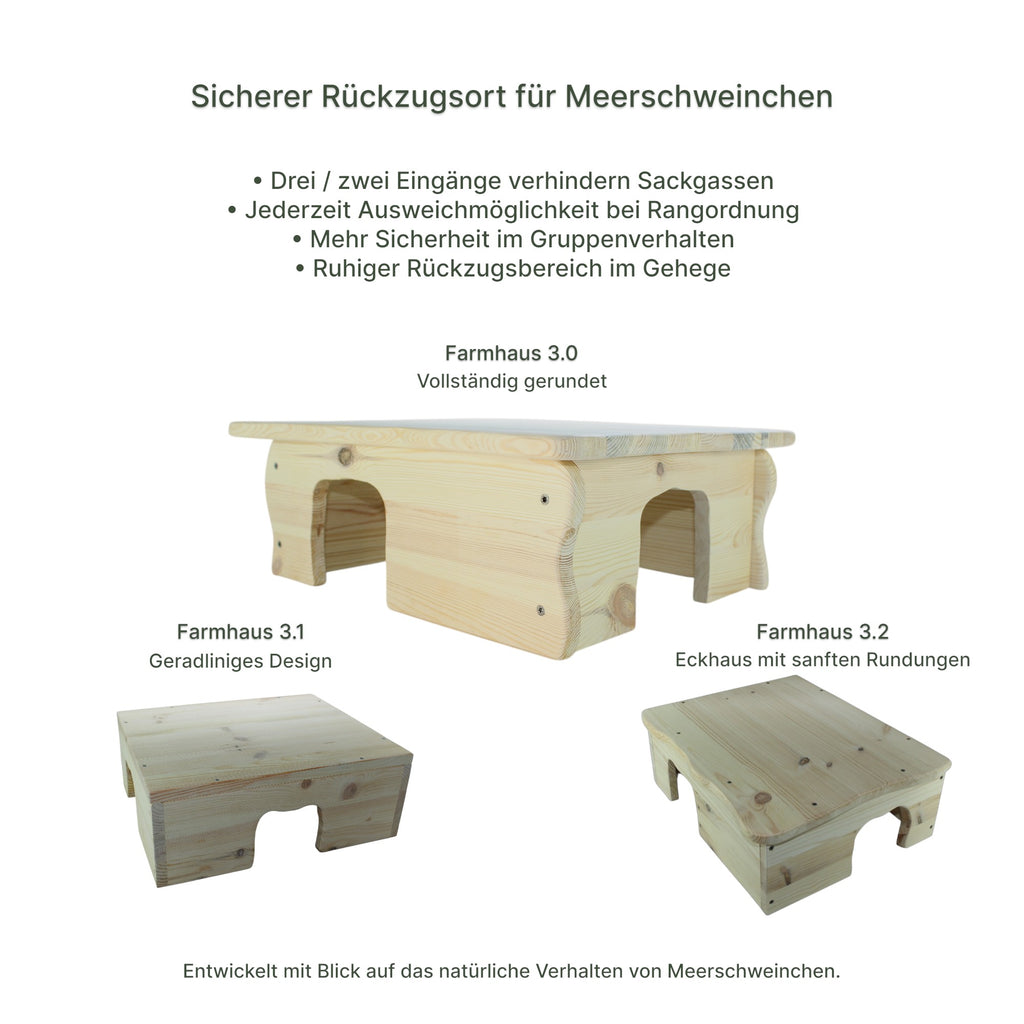 🏢Farmhaus 3.0 – Das größte Wohlfühlhaus für Meerschweinchen