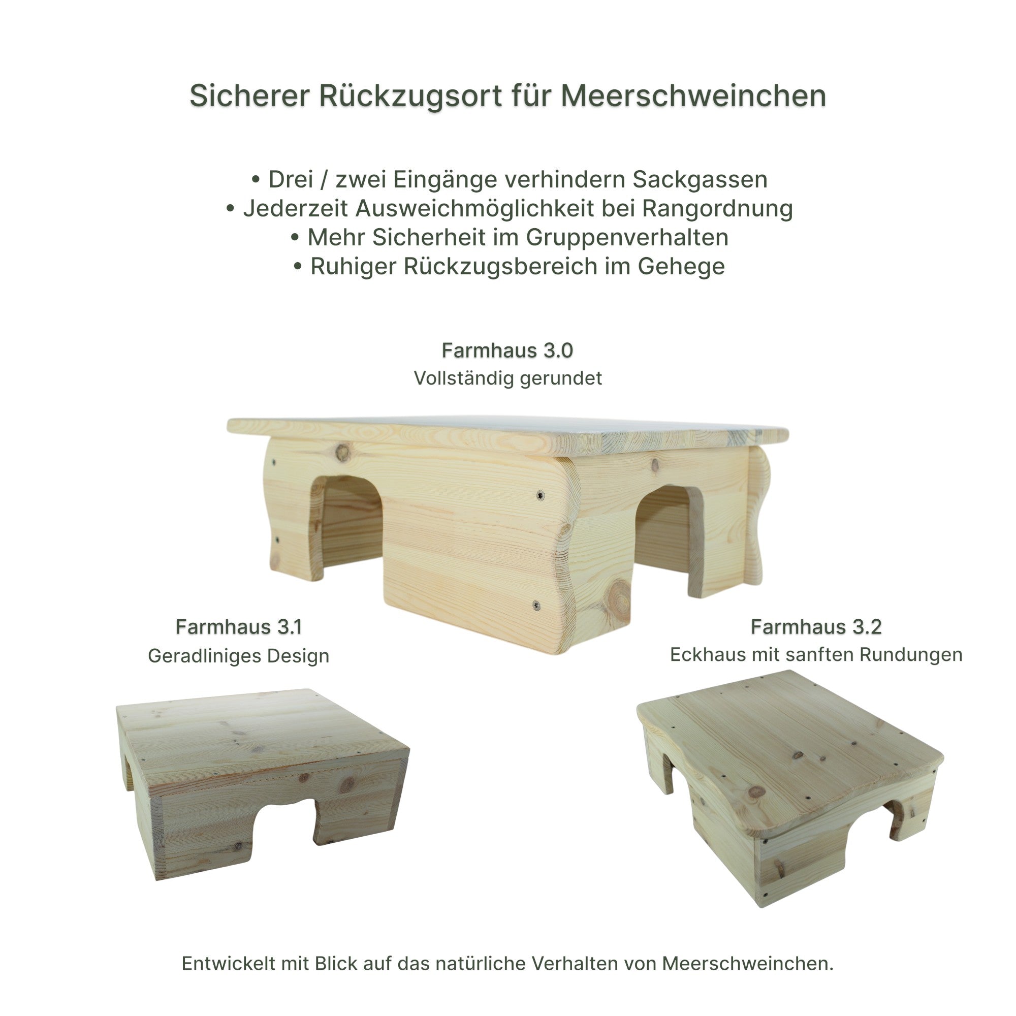 🏢Farmhaus 3.0 – Das größte Wohlfühlhaus für Meerschweinchen