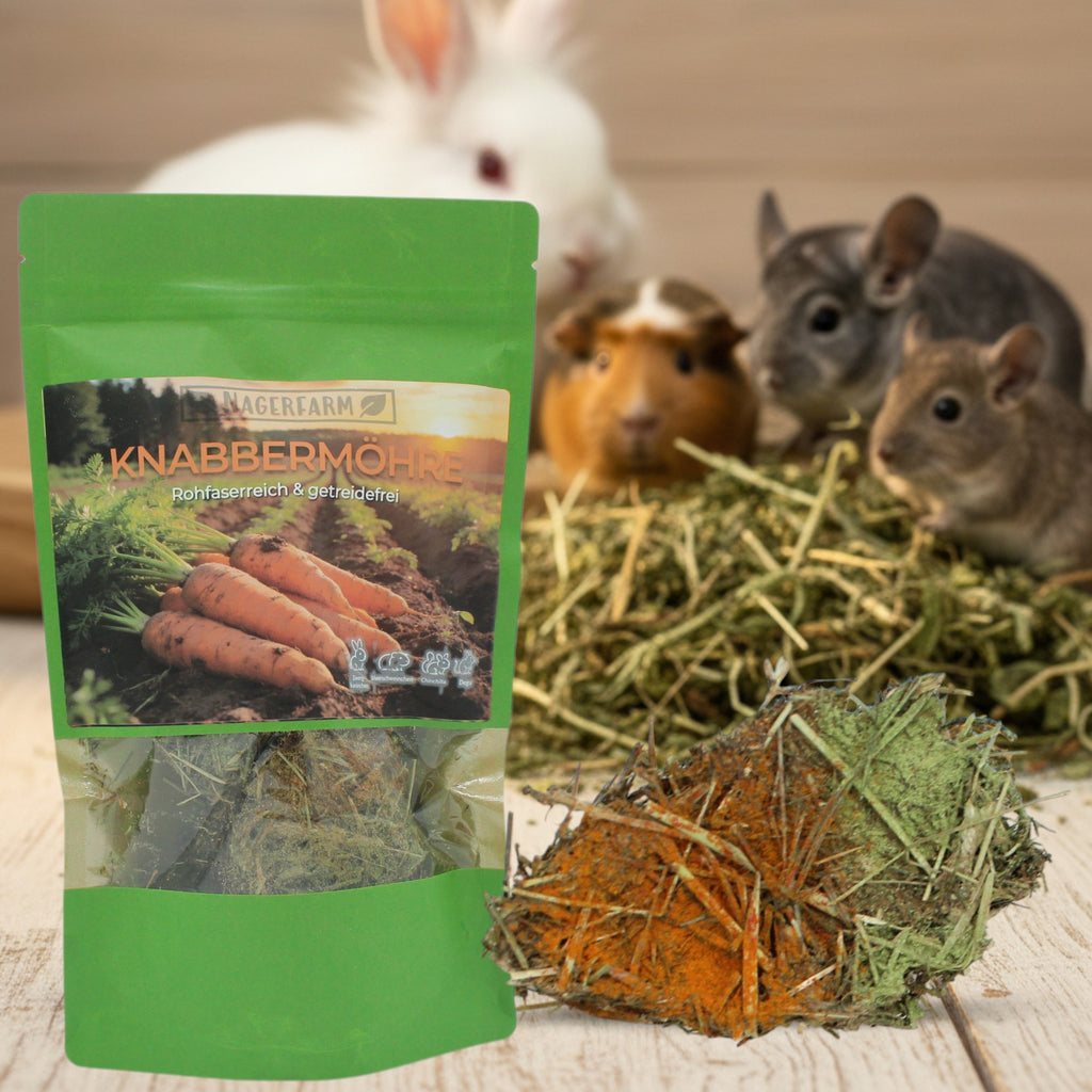 🥕Knabbermöhre – Rohfaserreiche Knabberbeschäftigung
