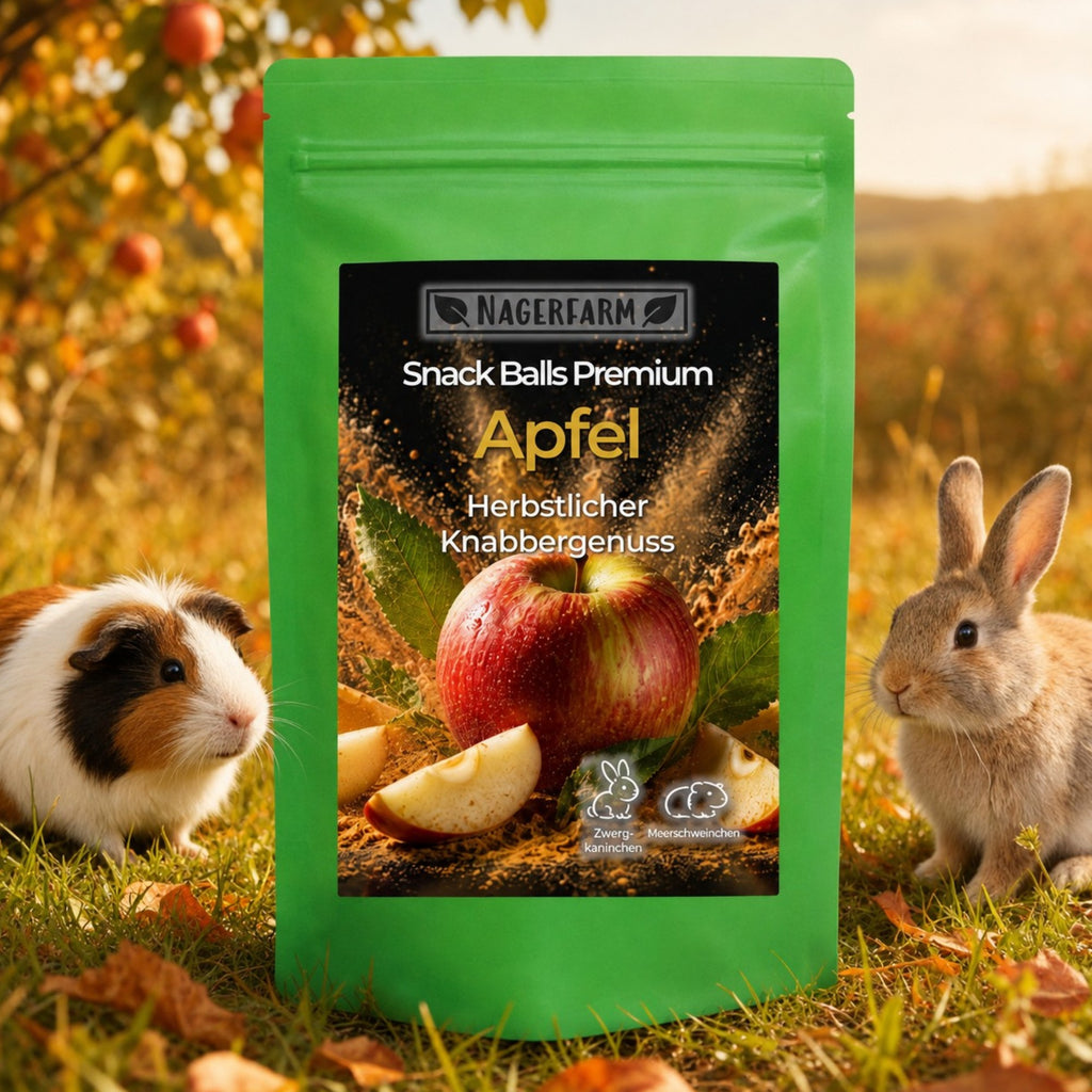 🍎 Snack Balls Premium Apfel – Herbstedition für Meerschweinchen
