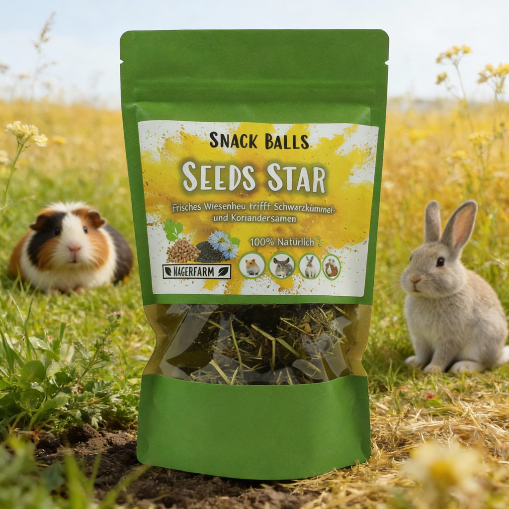 🟡 Snack Balls Seeds Star – kraftvolle Saaten-Snacks für Meerschweinchen