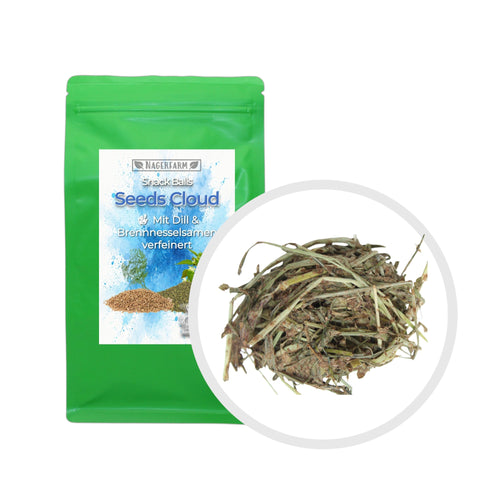 Snack Balls Seeds Cloud – Snack natural de heno para conejillos de Indias